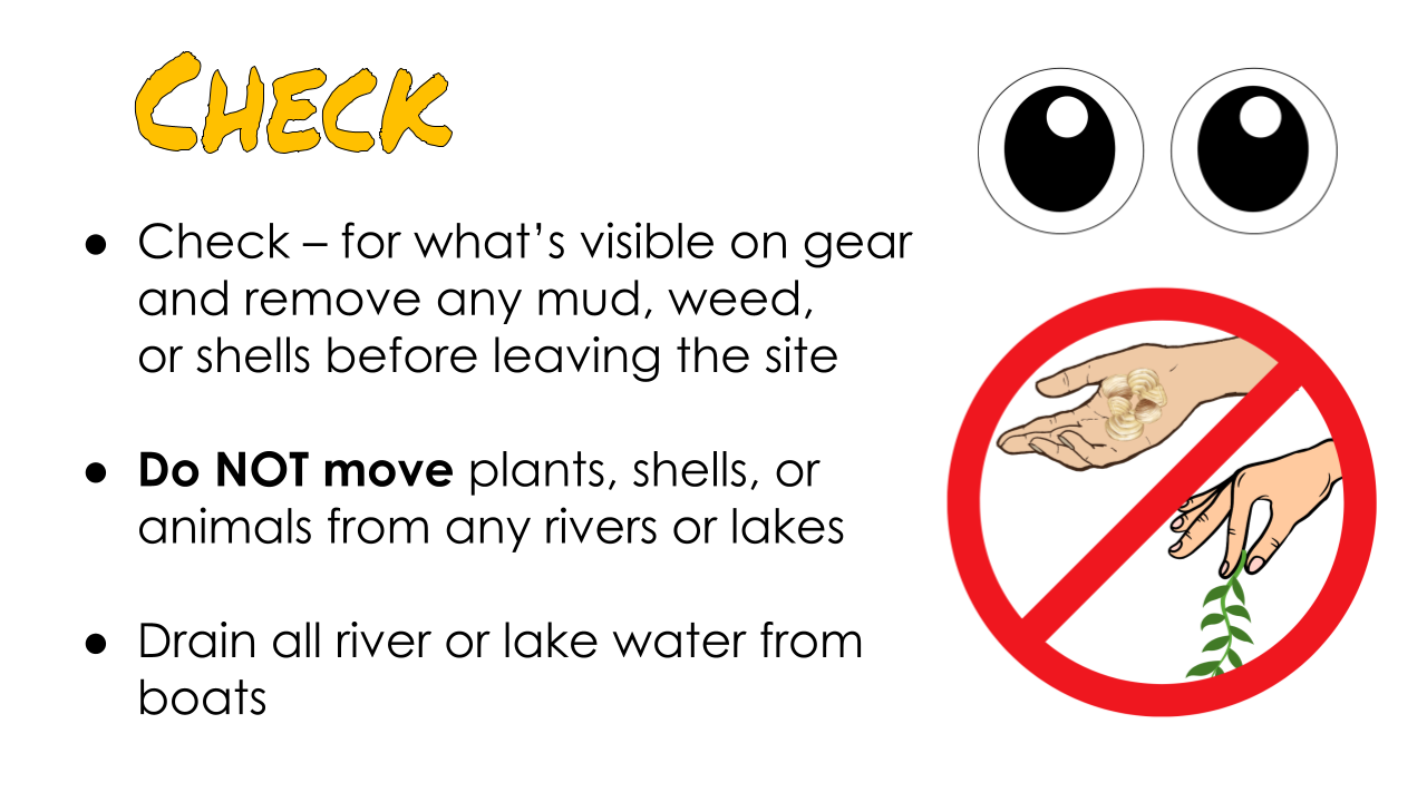 Gold Clams Biosecurity Lesson by KGT  (2).png