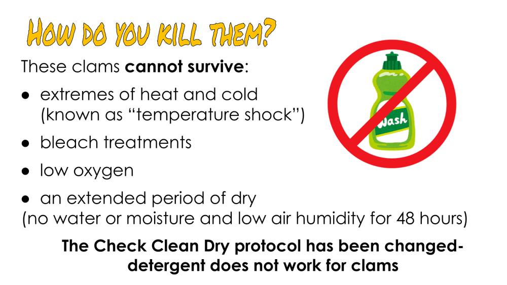 Gold Clams Biosecurity Lesson by KGT  (1).png