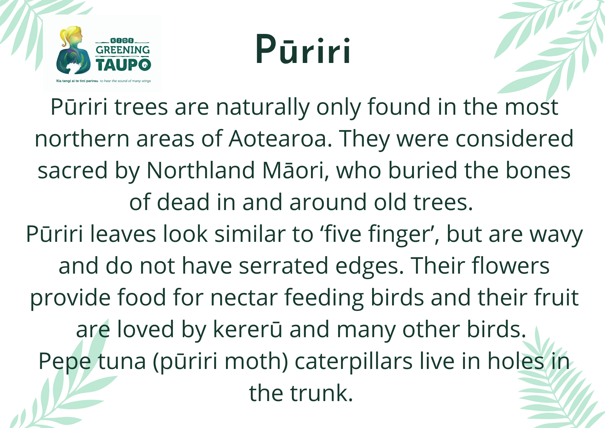 Native Plants Information (1).png