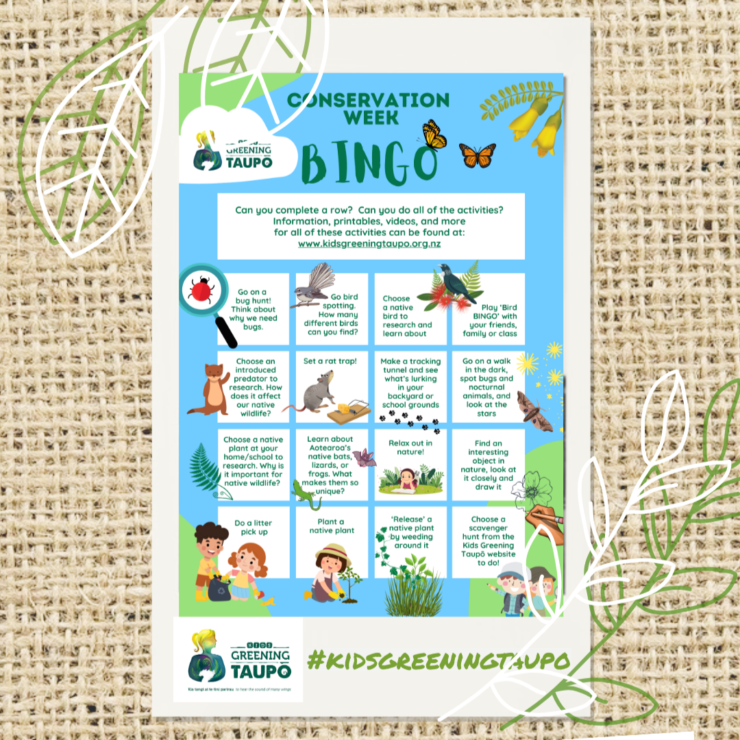 Conservation Week BINGO