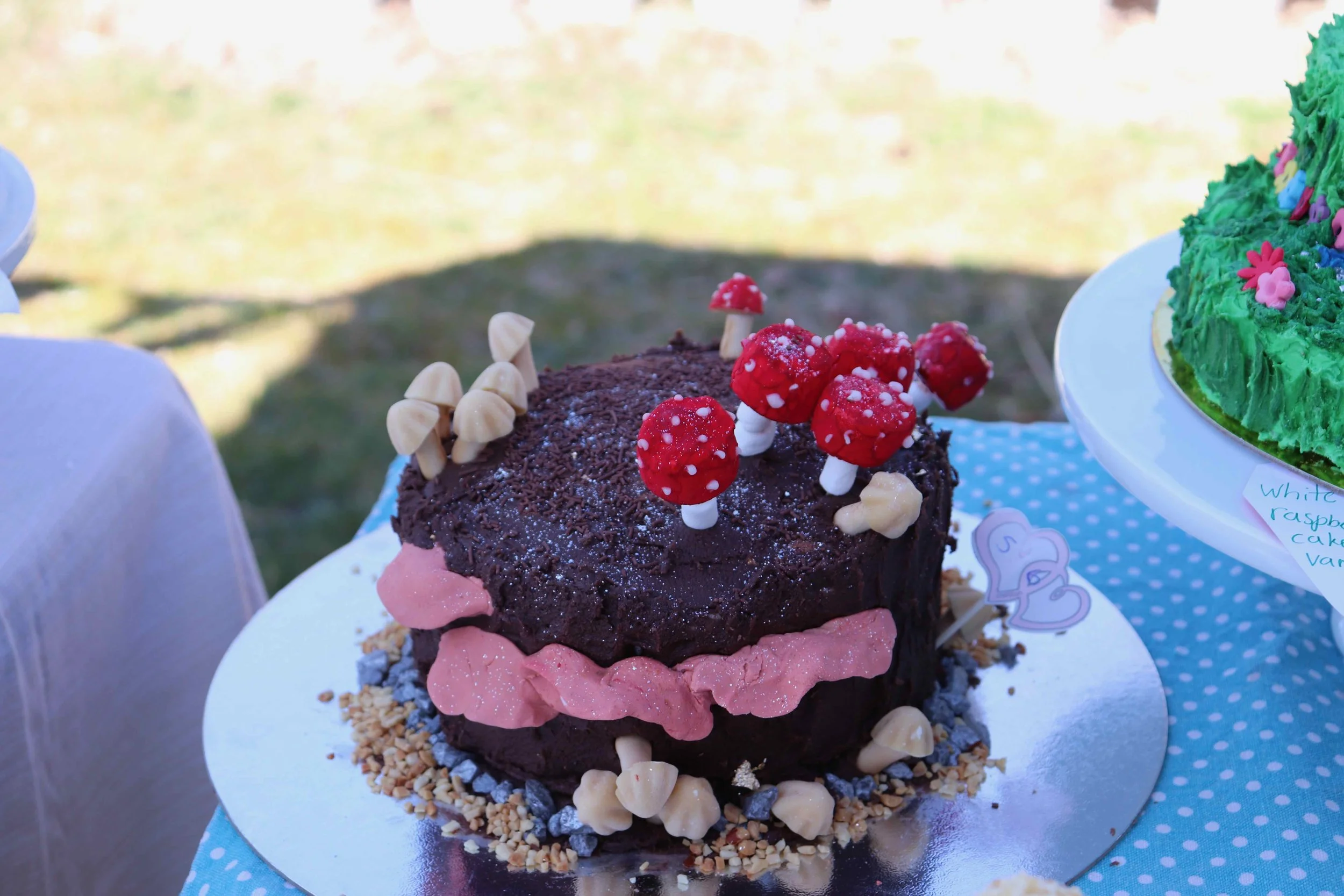 KGT 10th Birthday 2025_AC_IMG_9879.jpeg