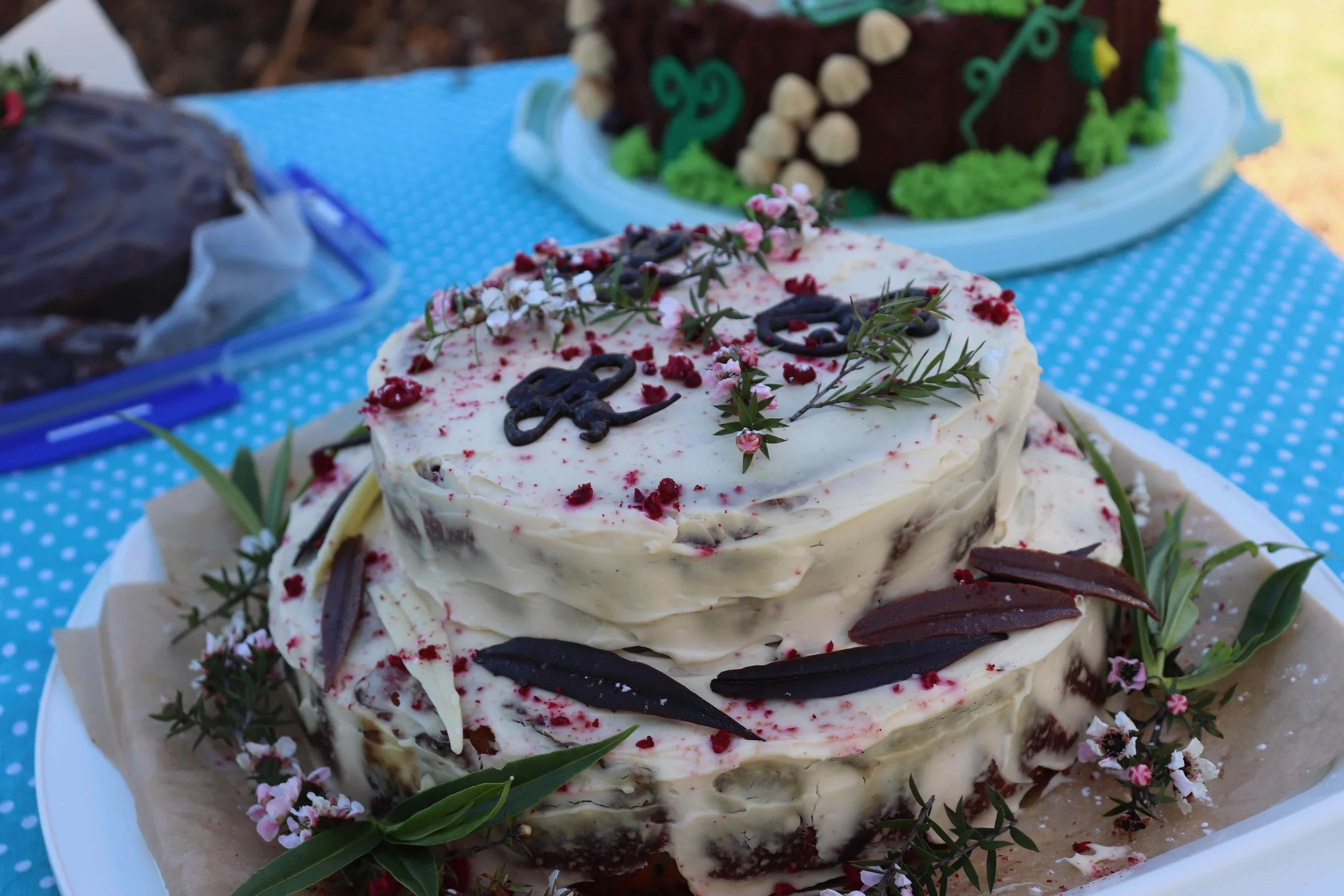 KGT 10th Birthday 2025_AC_IMG_9882.jpeg