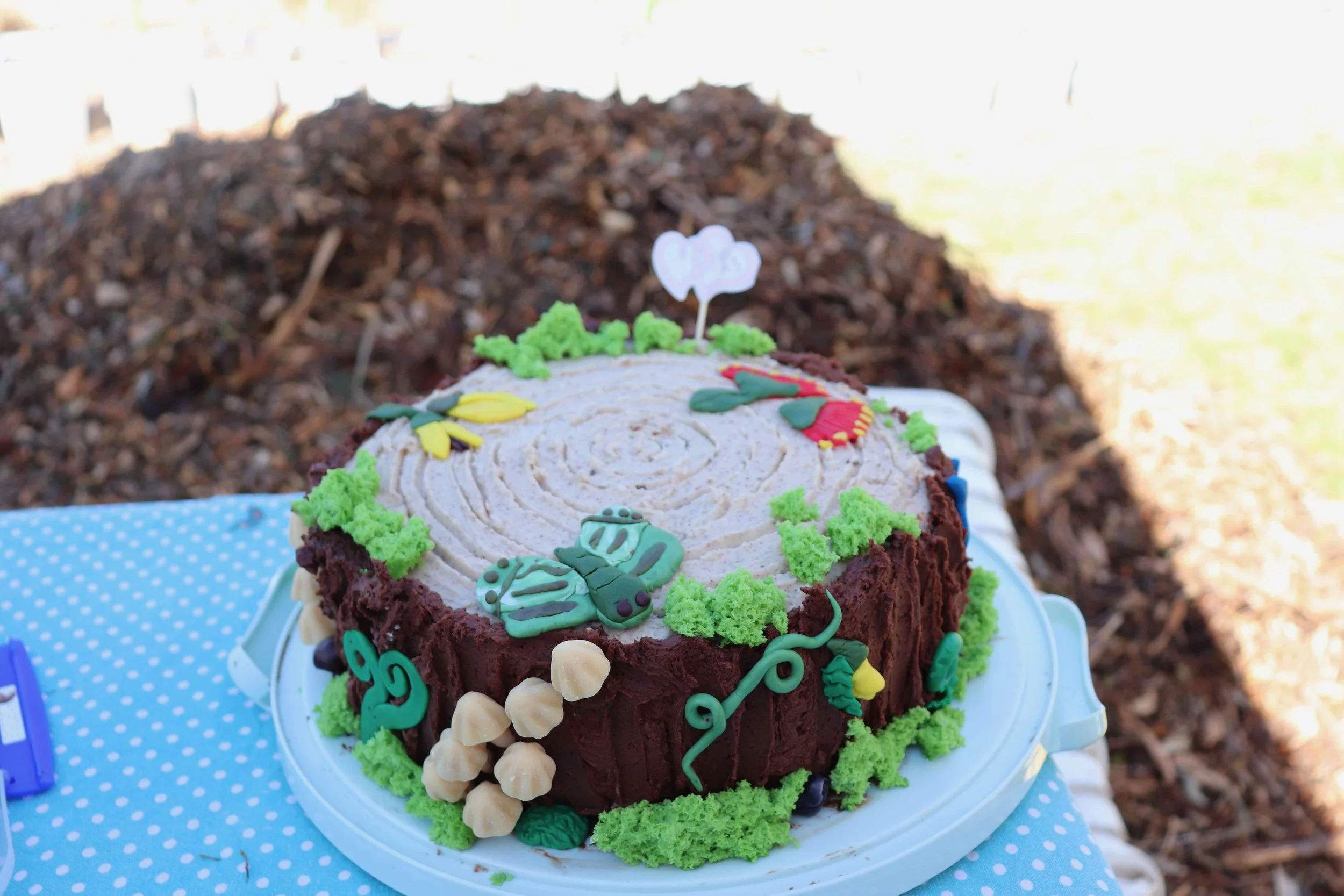 KGT 10th Birthday 2025_AC_IMG_9883.jpeg