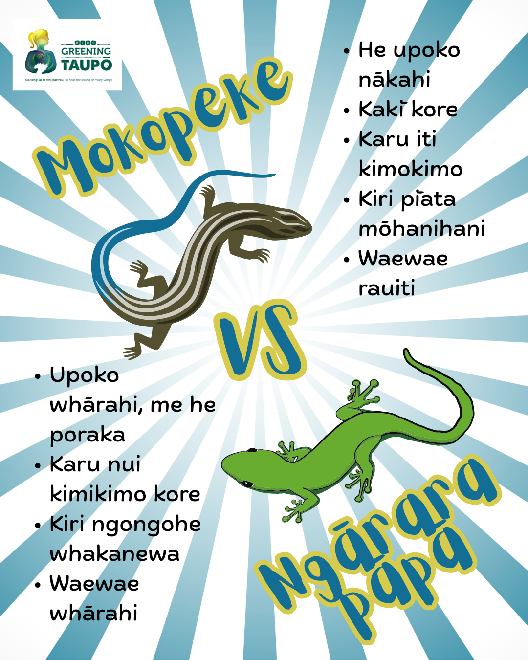 New Te Reo Māori Resources!