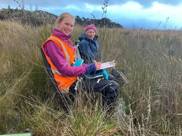 Bittern Monitoring