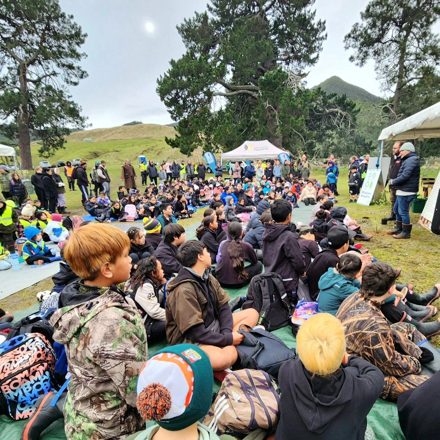 Working with Kura Kaupapa and Rumaki