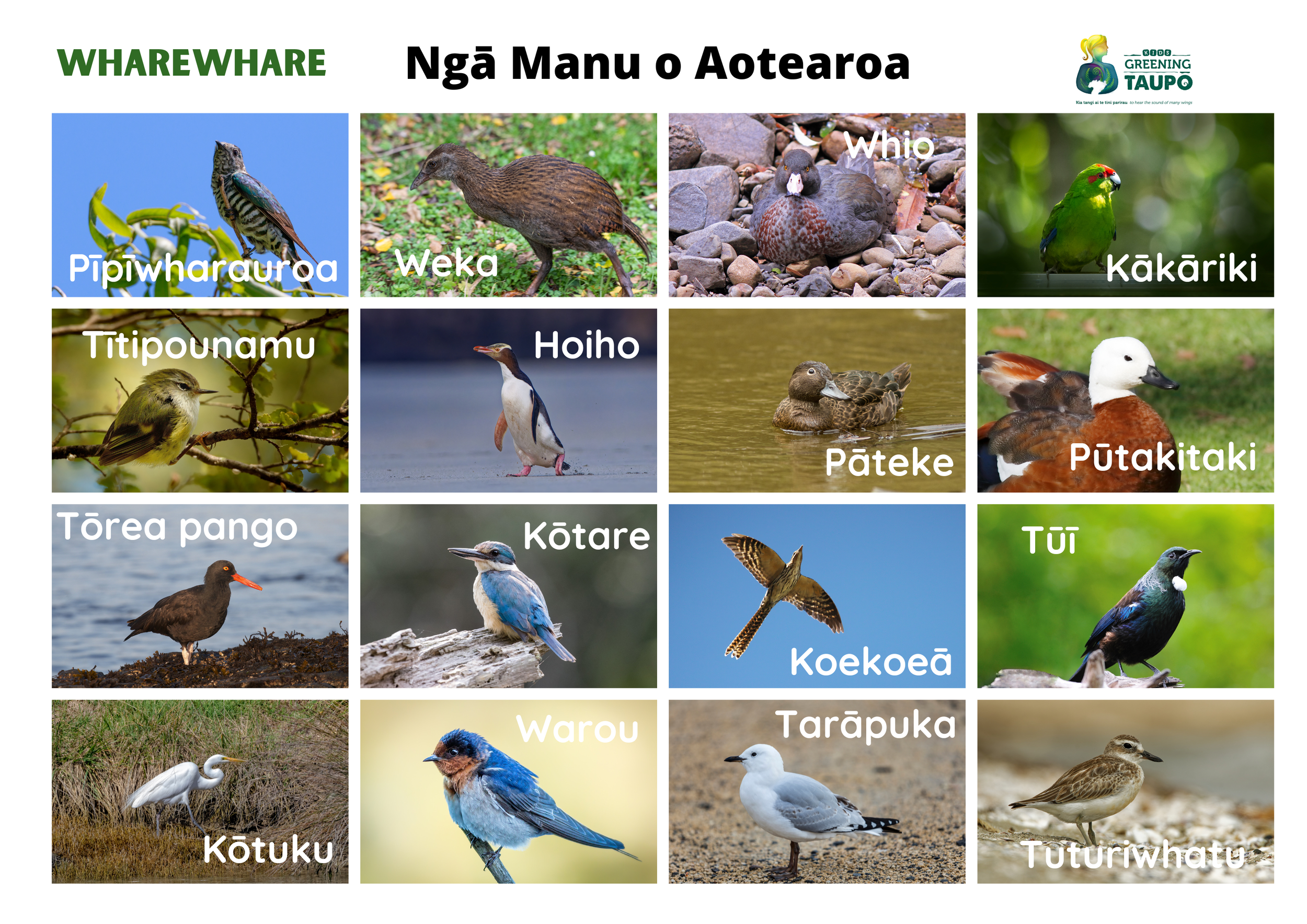 Te Reo Māori Native Bird Bingo.png