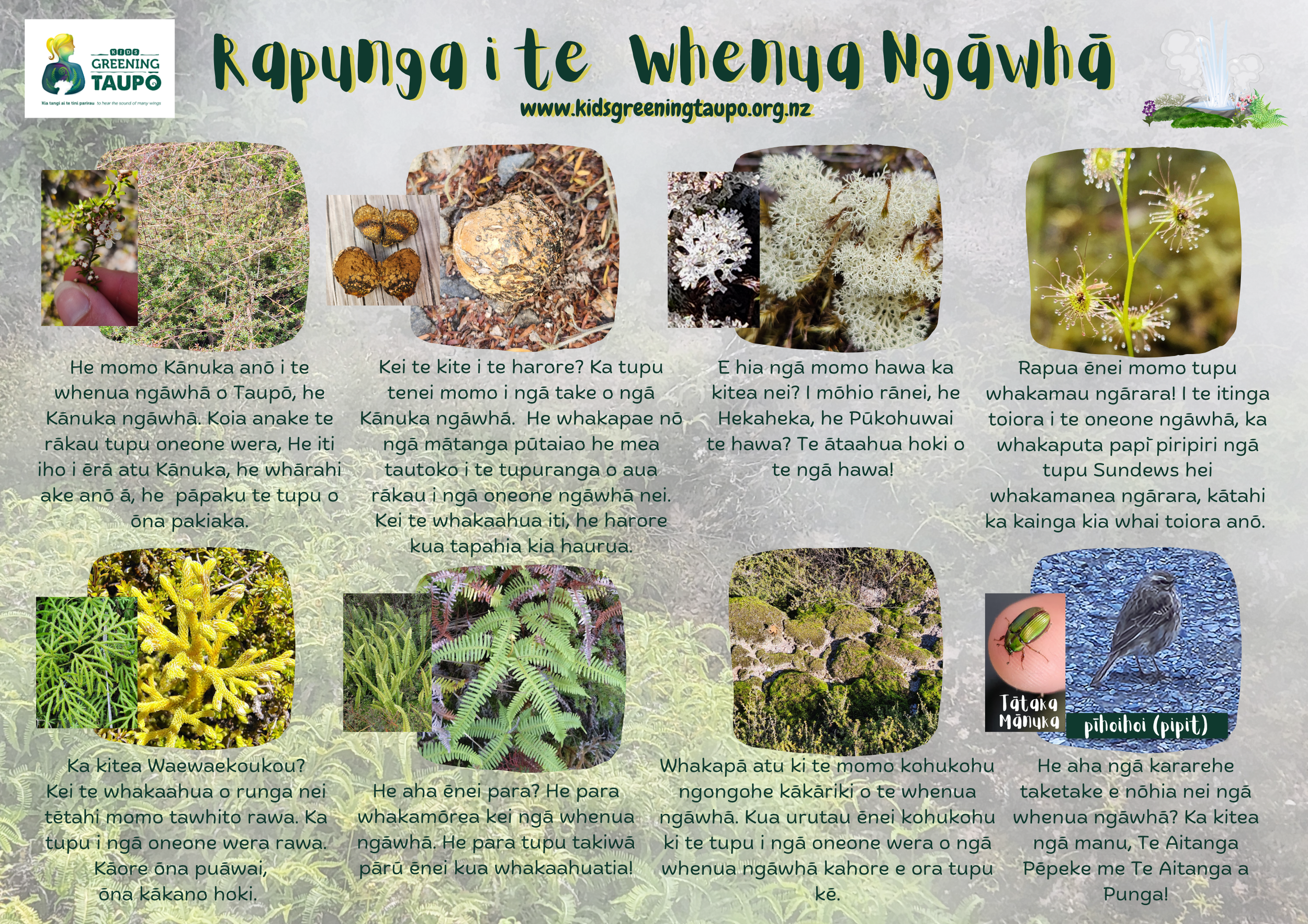 Te Reo Māori Geothermal Scavenger Hunt.png