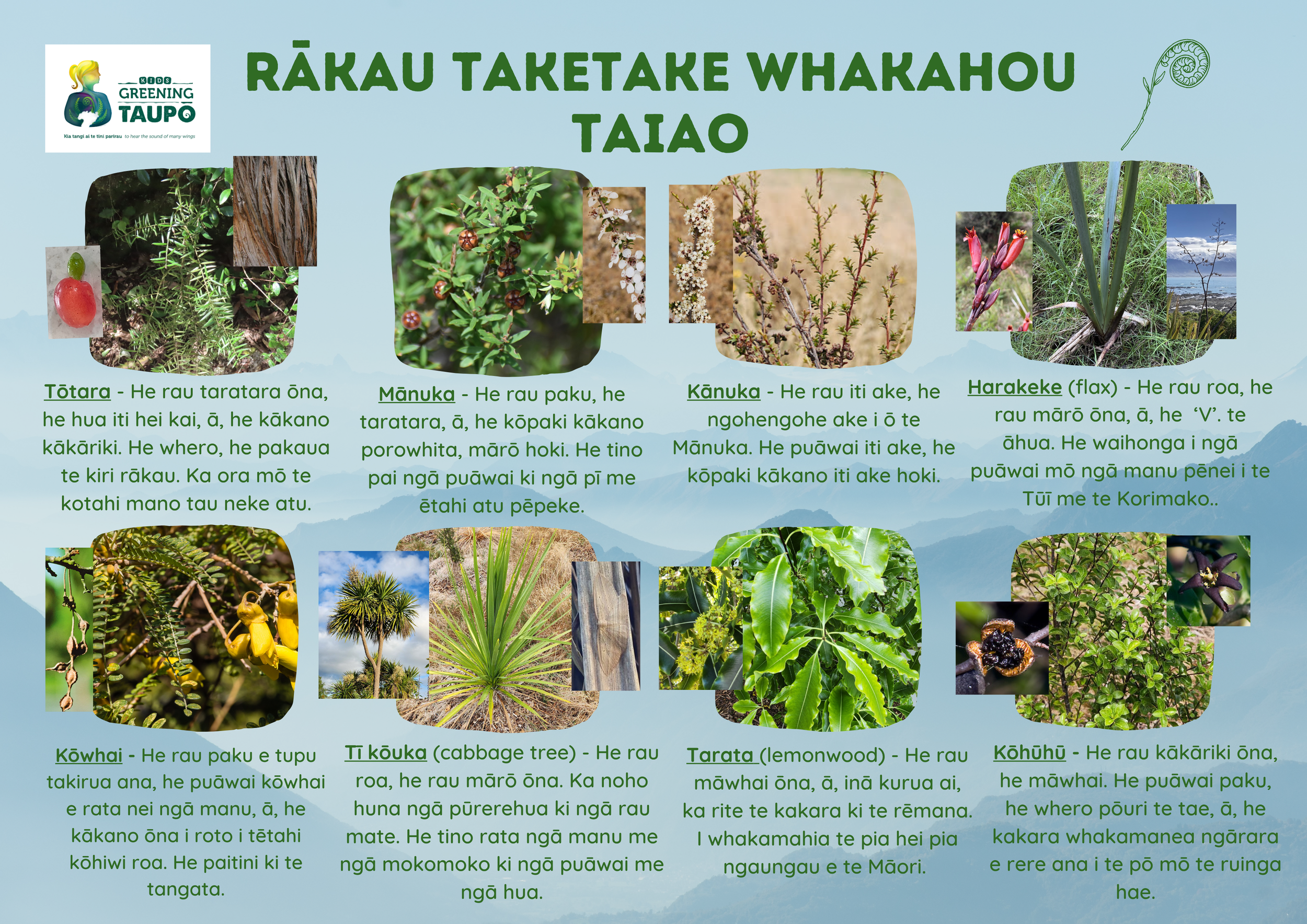 Te reo Māori Native restoration plants scavenger hunt.png
