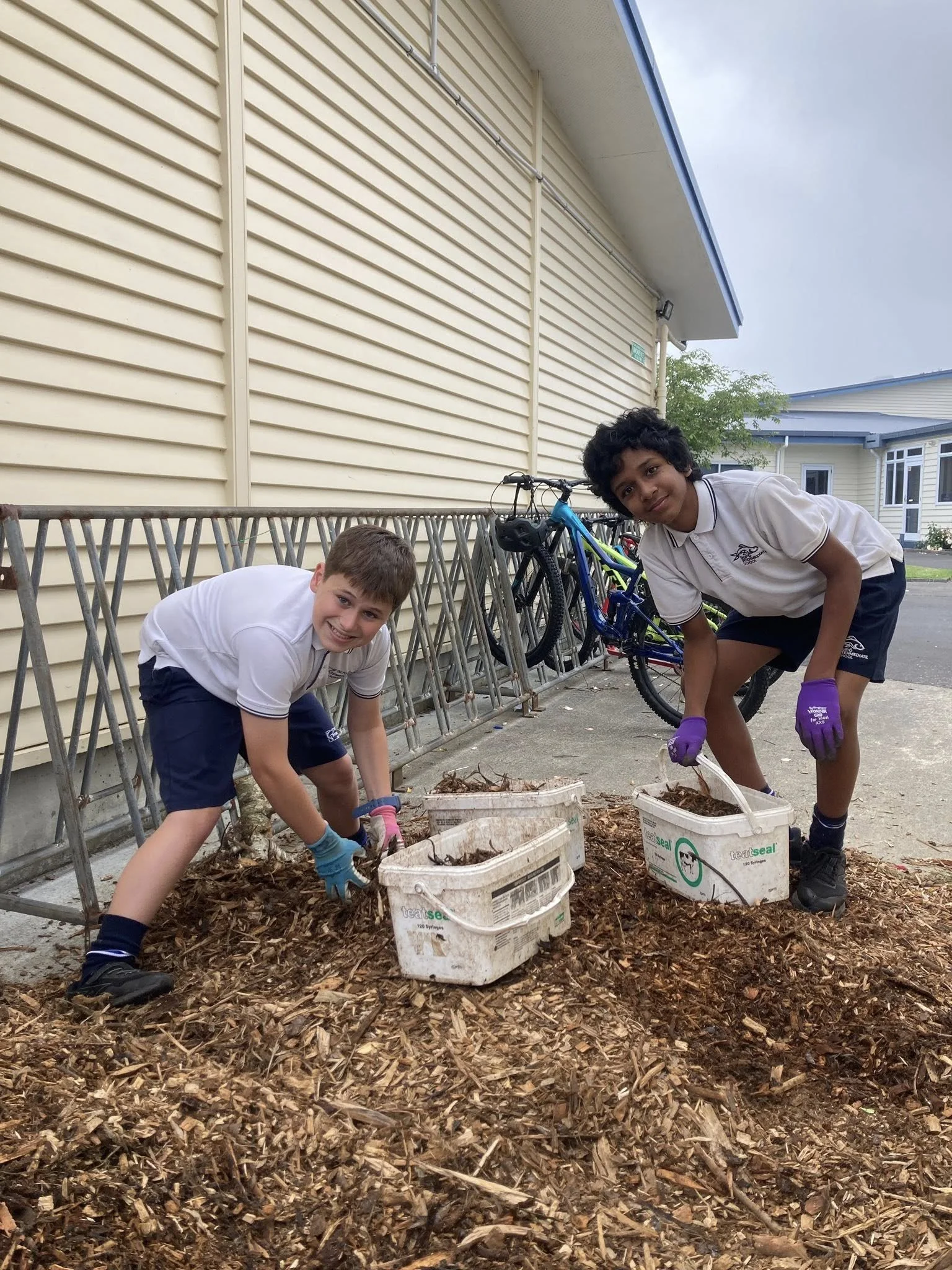 588571262_1431253422333570_6717703107533942668_n - Copy.jpg