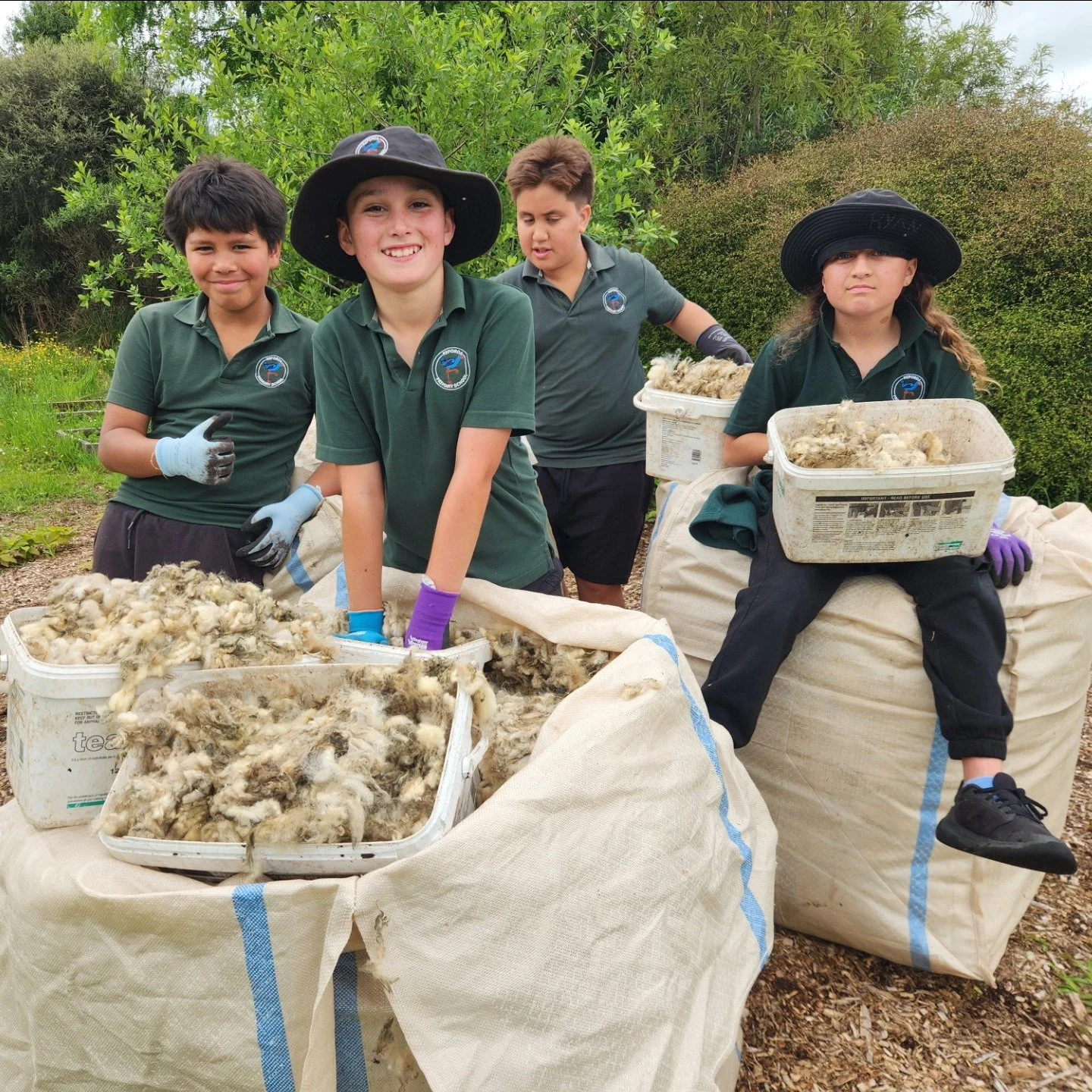 586553226_1427824219343157_2561956633233244521_n - Copy.jpg