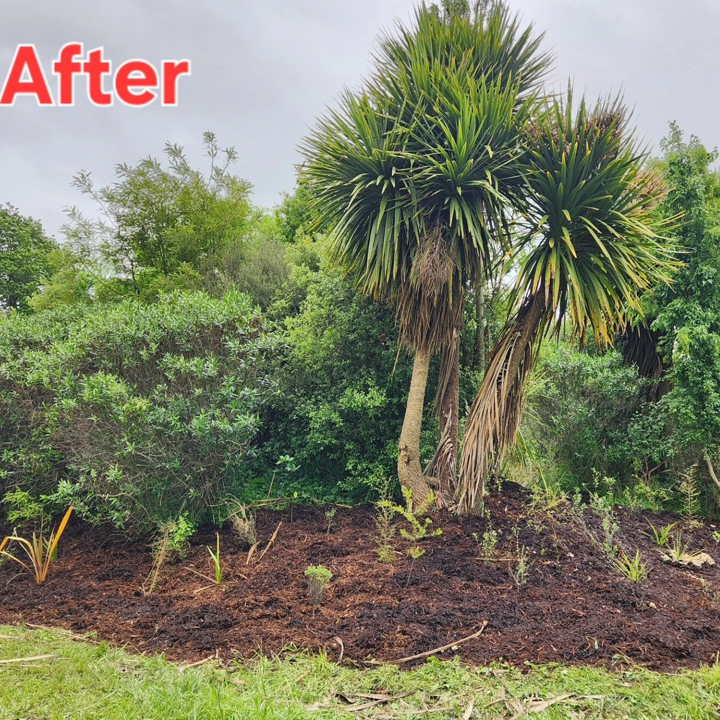 586311405_1427824226009823_4363574589092959742_n - Copy.jpg