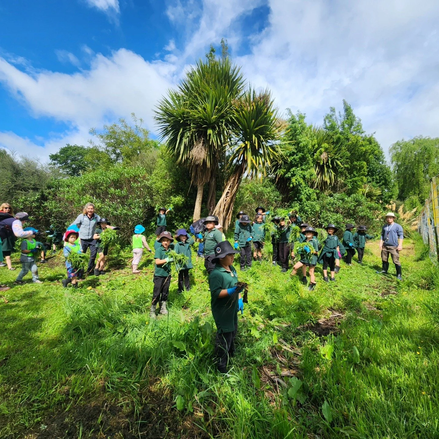 586171079_1427824229343156_7714478621175448221_n - Copy.jpg