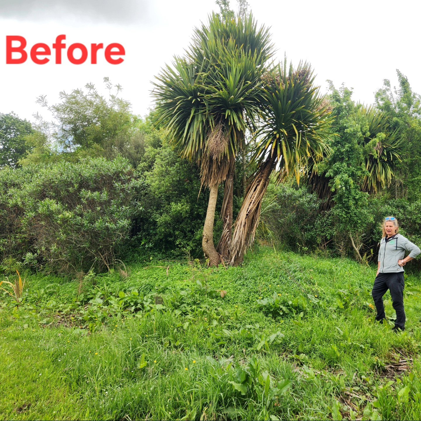 586554029_1427824236009822_6850076168994594658_n - Copy.jpg