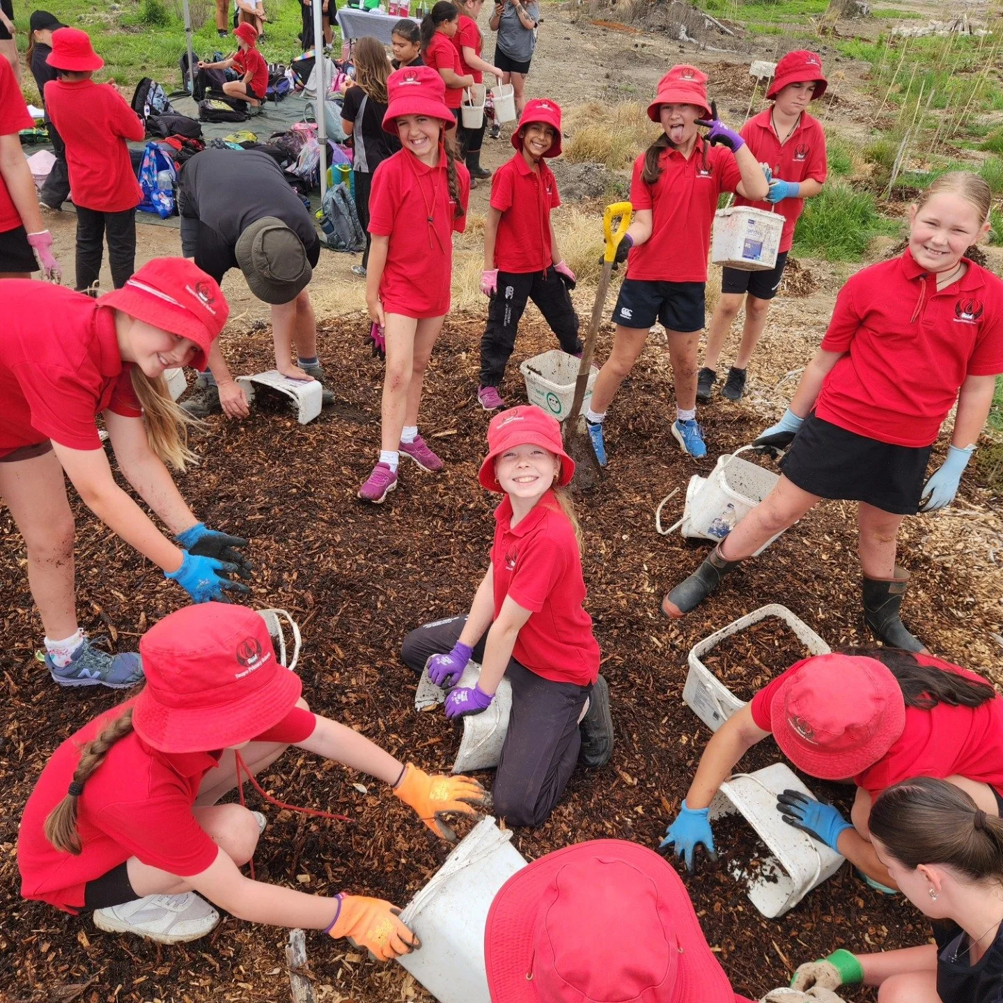 Term 4 Mulching Events 2025 