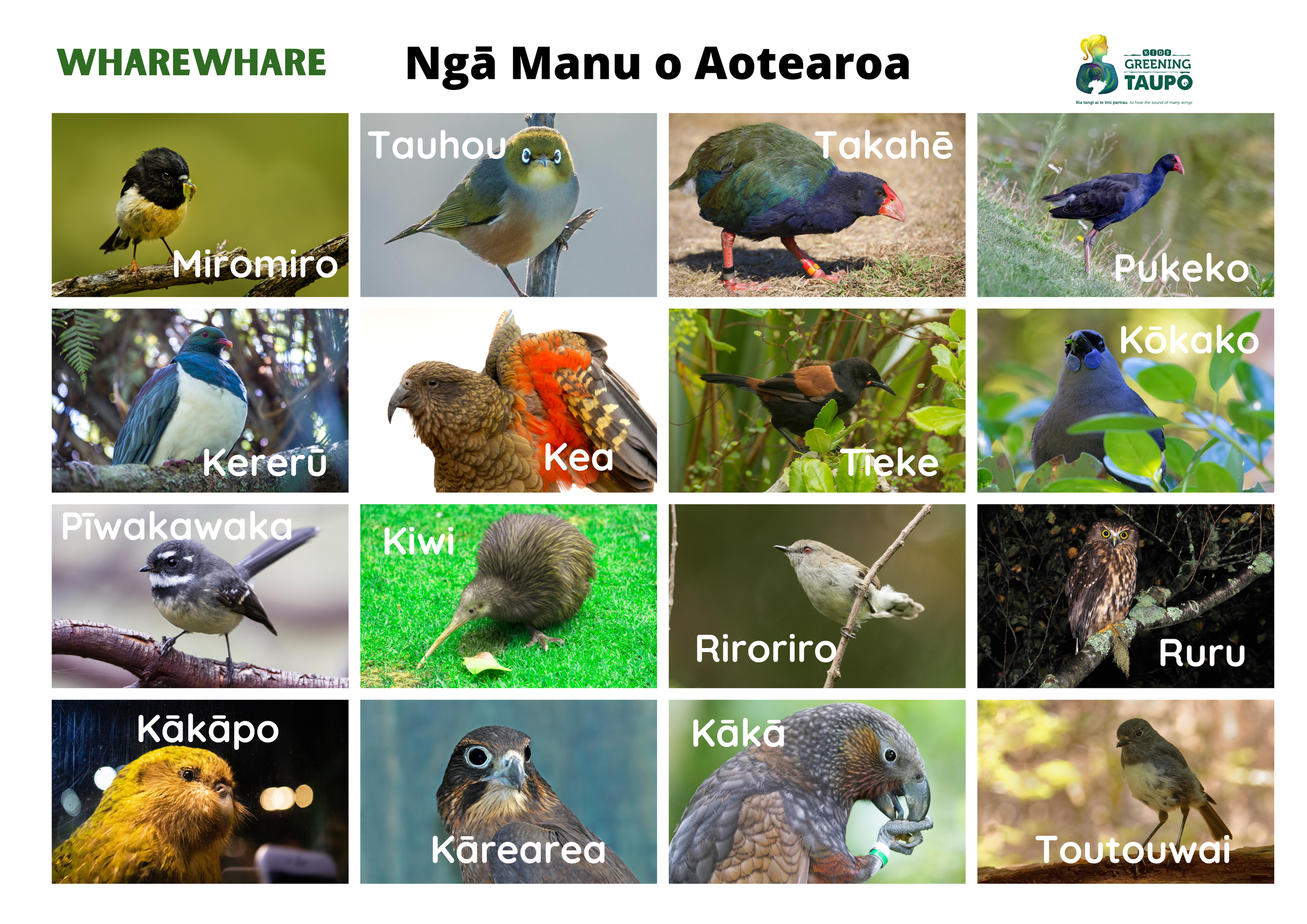 Te Reo Māori Native Bird Bingo (1).png