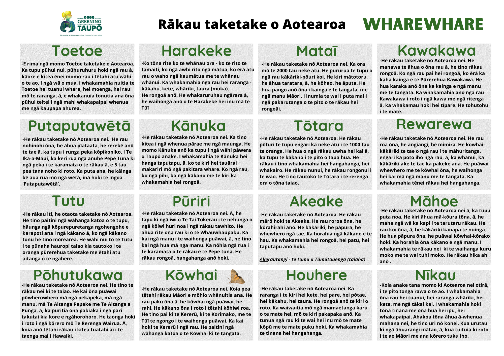 Te Reo Māori Native Plants Information.png
