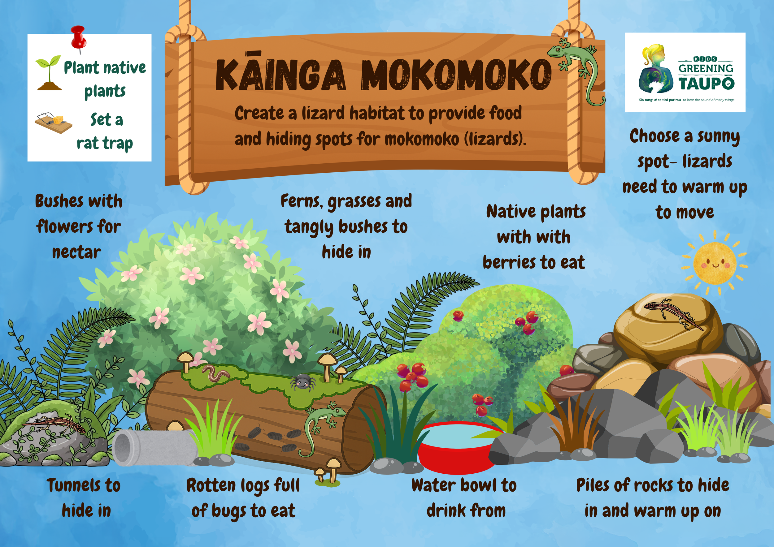 _Kainga Mokomoko  Lizard Habitat (1).png