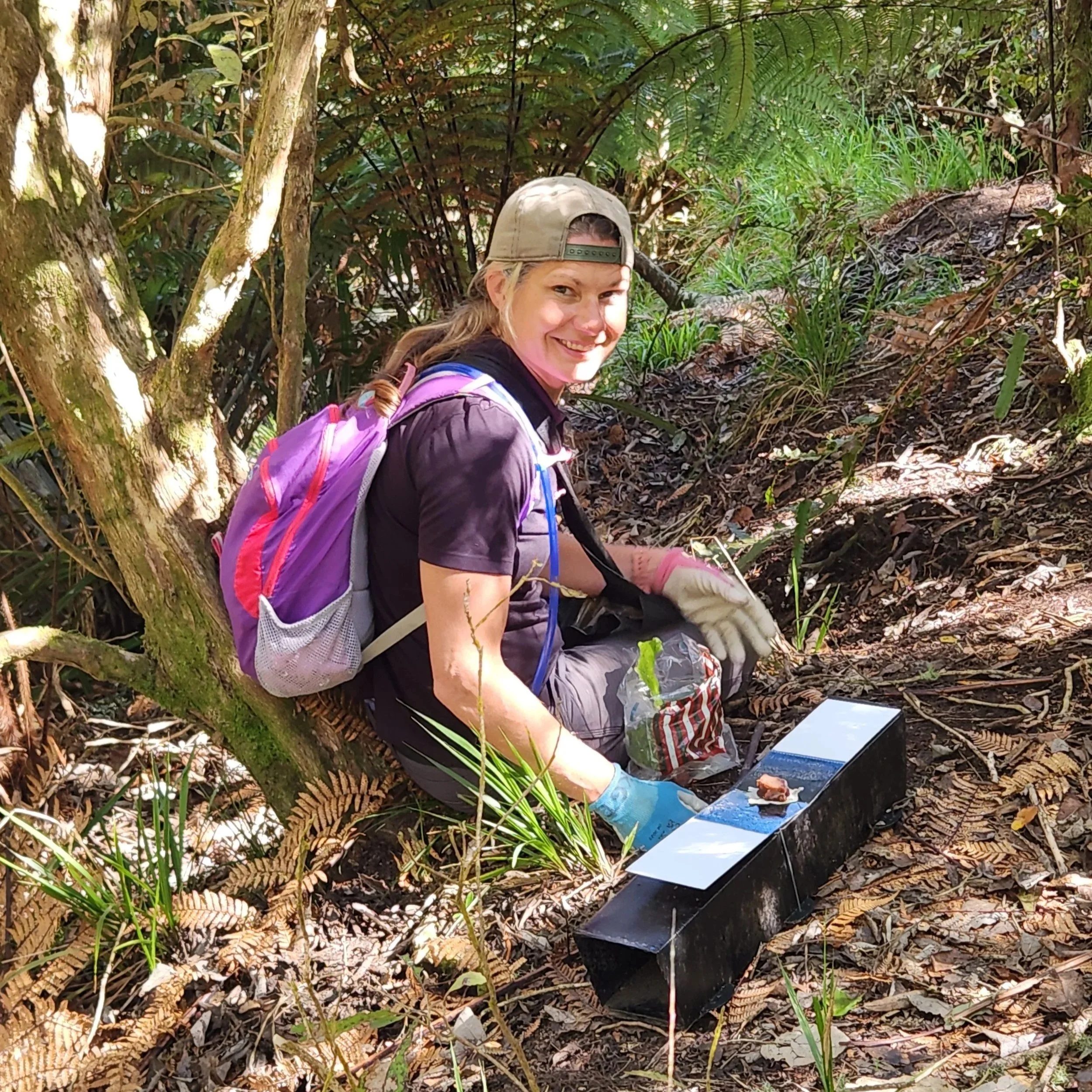 Predator Monitoring on Mt Tauhara