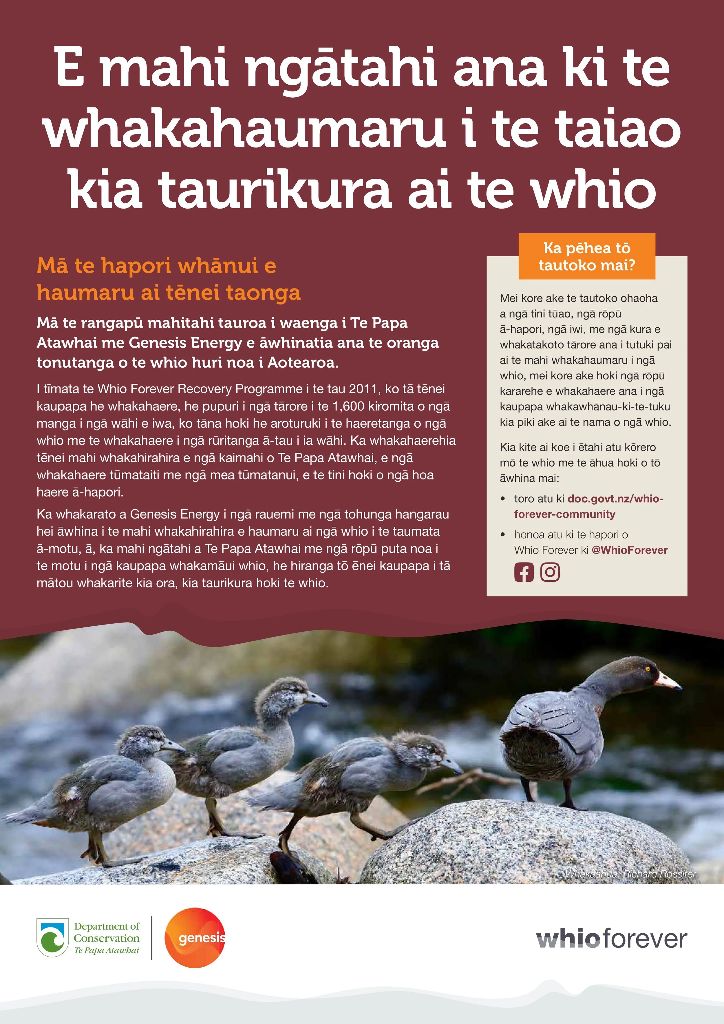 R272258 R McKie - Update Whio forever posters Te Reo translation_no crops (1)-images-1.jpg