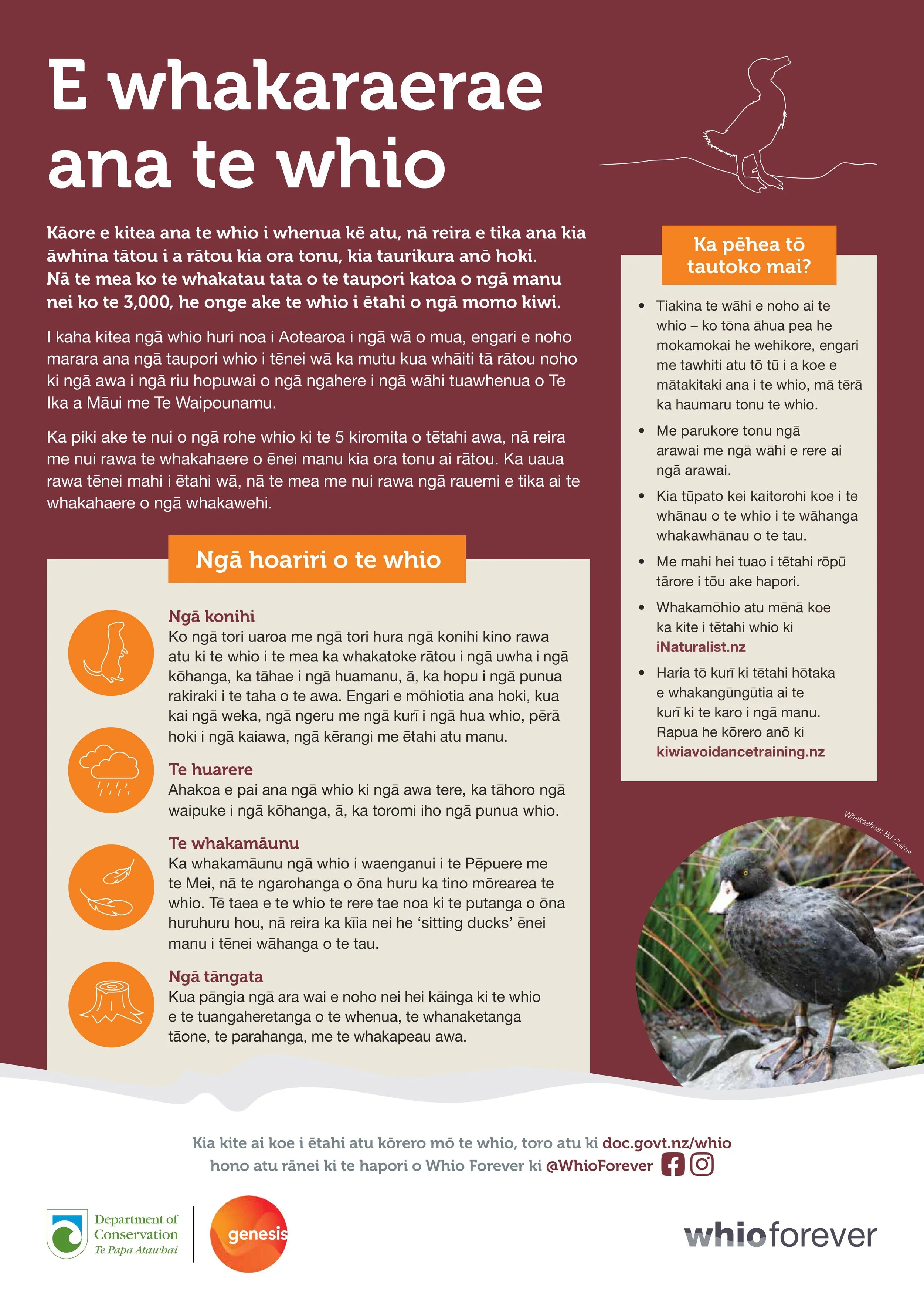 R272258 R McKie - Update Whio forever posters Te Reo translation_no crops (1)-images-2.jpg