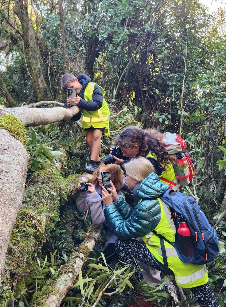 495500541_1251889956936585_9131874866527710818_n (1).jpg