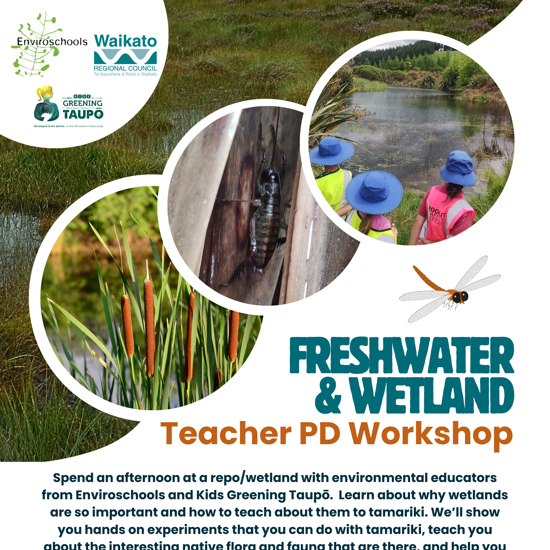 Wetland Teacher Professional Development Workshop