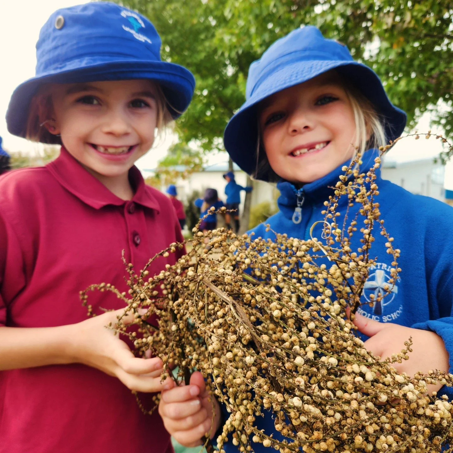 Seeds! Seeds! Seeds! 