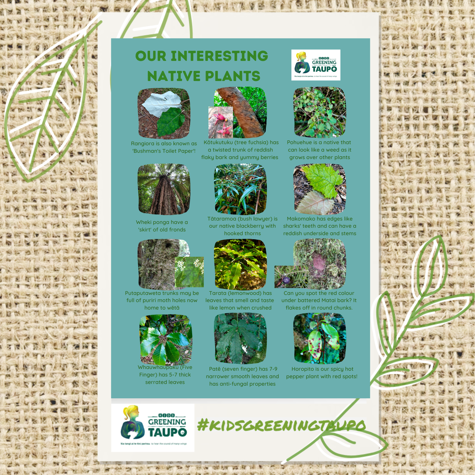 Native Plant Scavenger Hunt