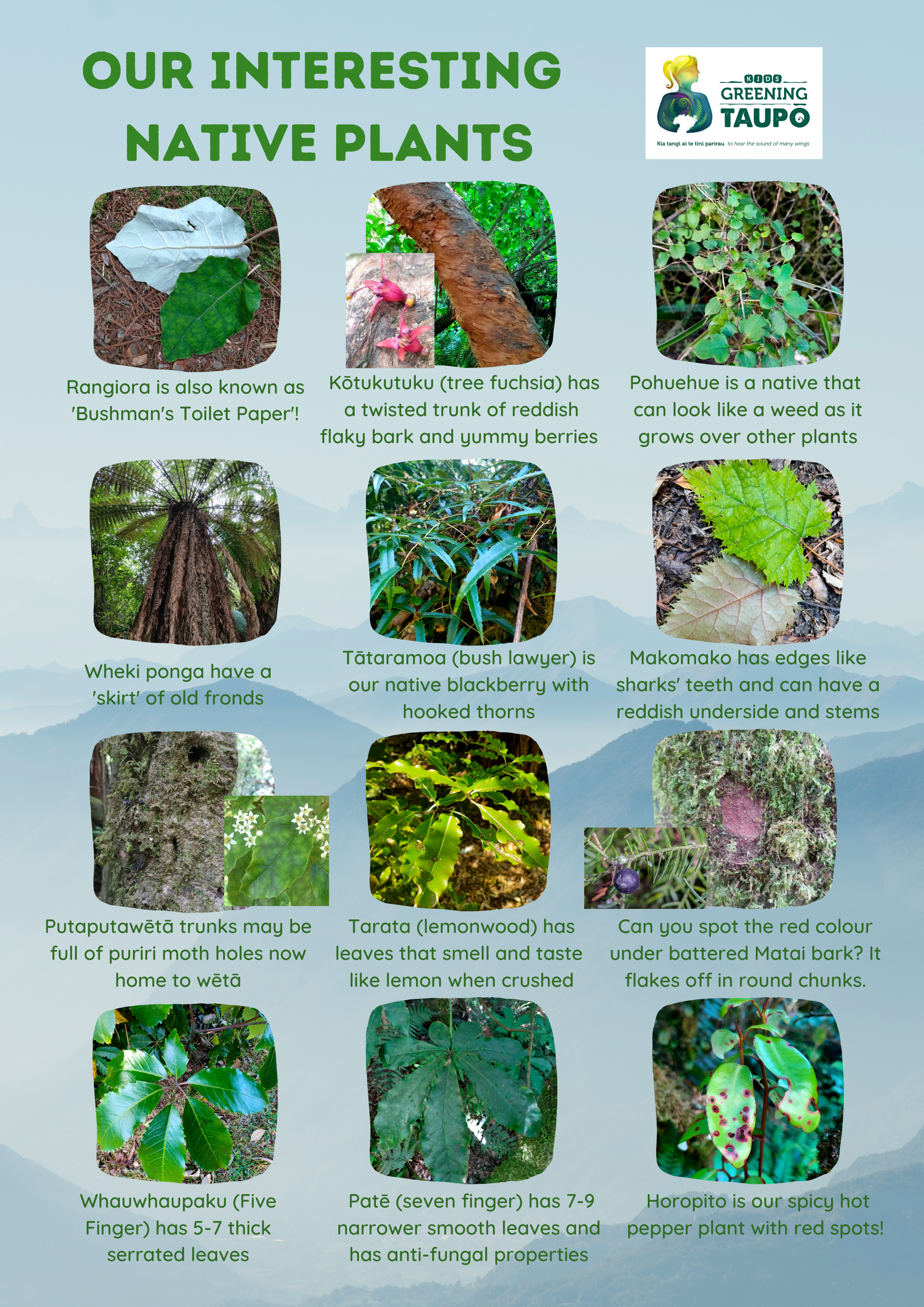 Interesting native plants.png