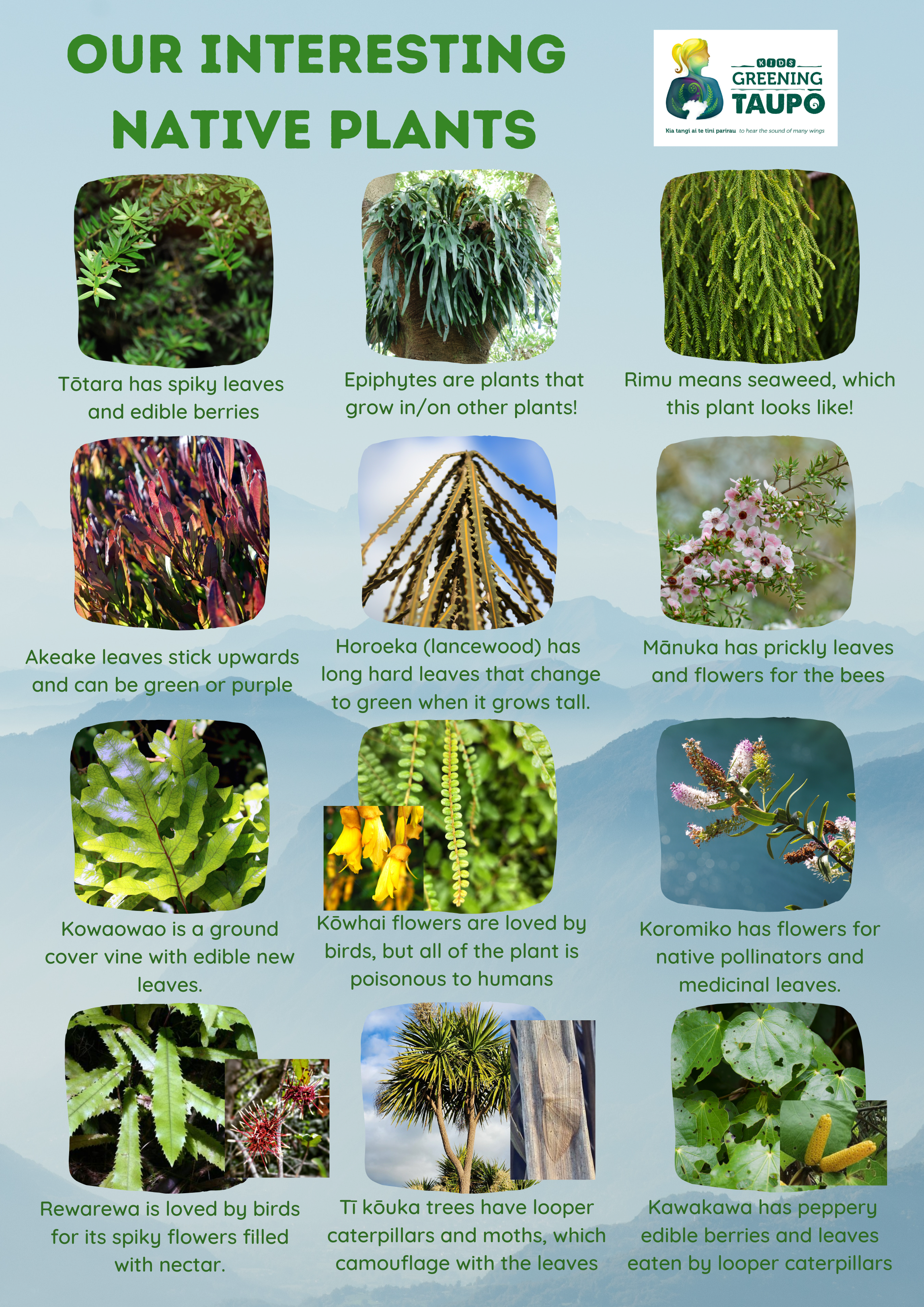 Interesting native plants (1).png