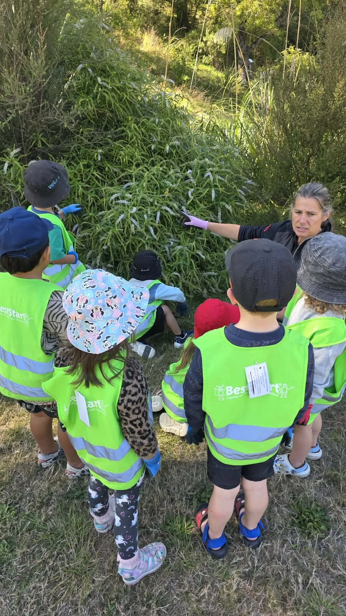 0ce345ed-1ac8-44d8-822d-3fbc19f4d6cf.jpg