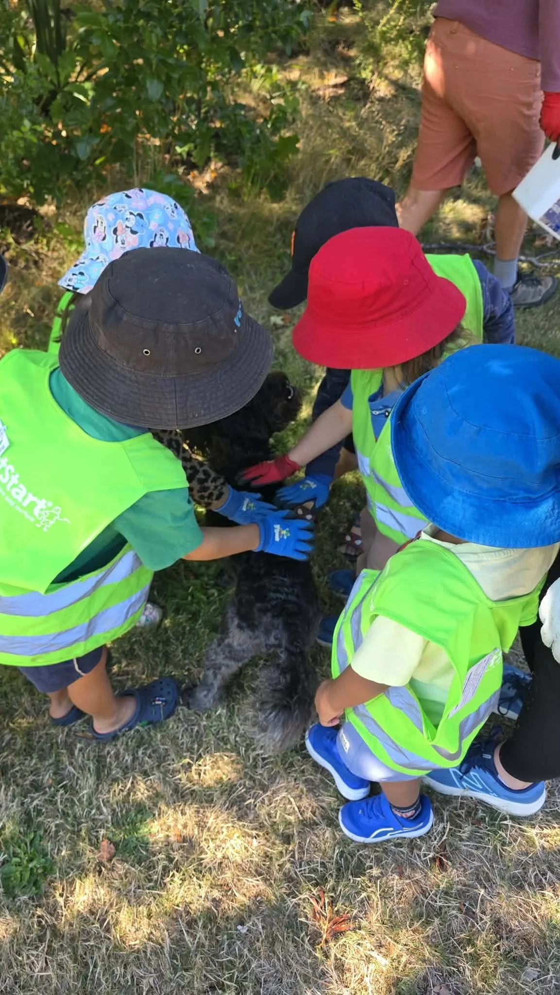 Bug Hunts, Big Adventures and a New Nature Crew!