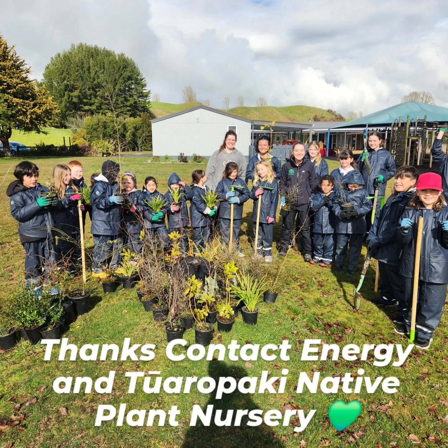 Tirohanga School’s Projects