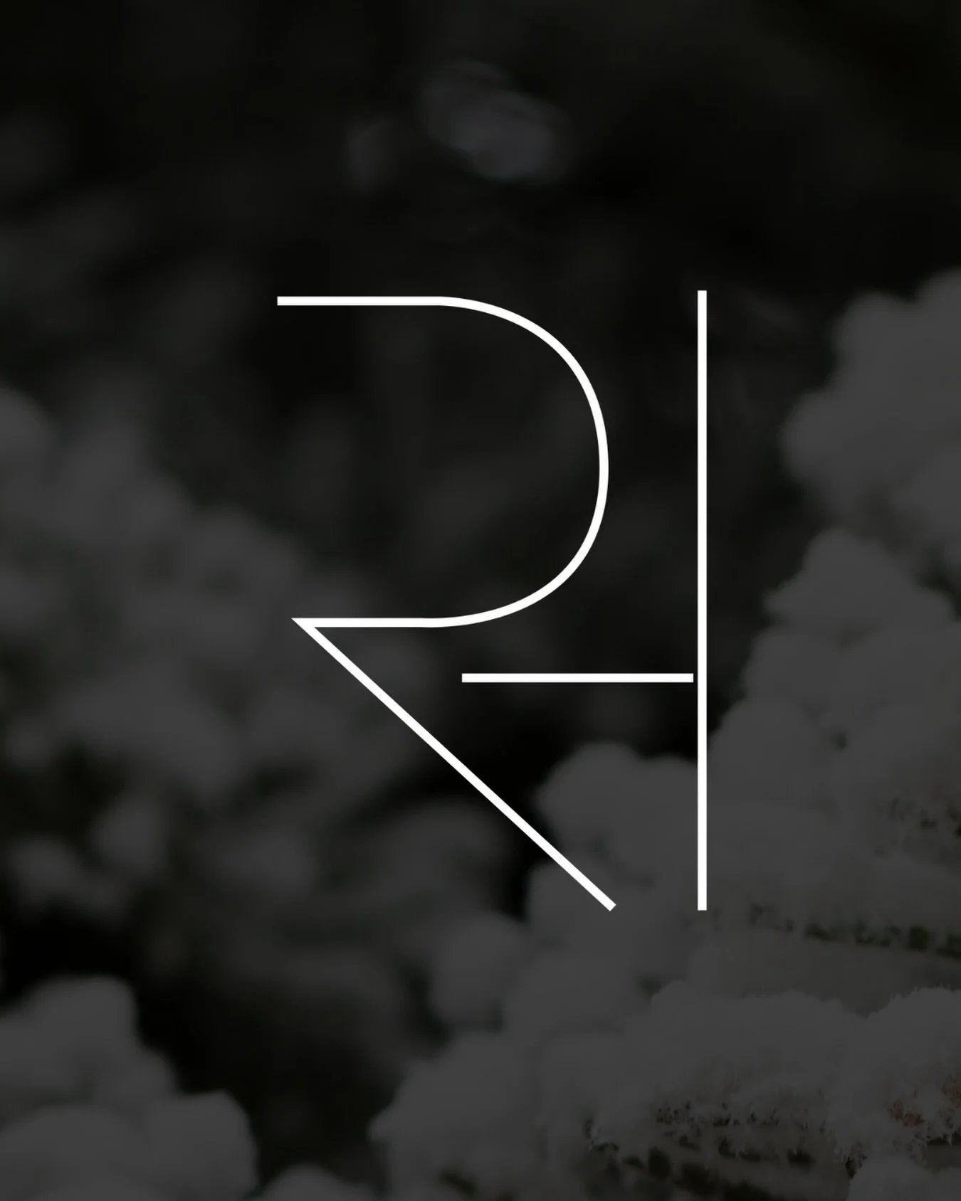 Your monthly skincare and aesthetics update starts here. Explore what&rsquo;s new, what&rsquo;s exclusive, and what your skin will thank you for.
.
.
.
This Insta site designed by @janelgion