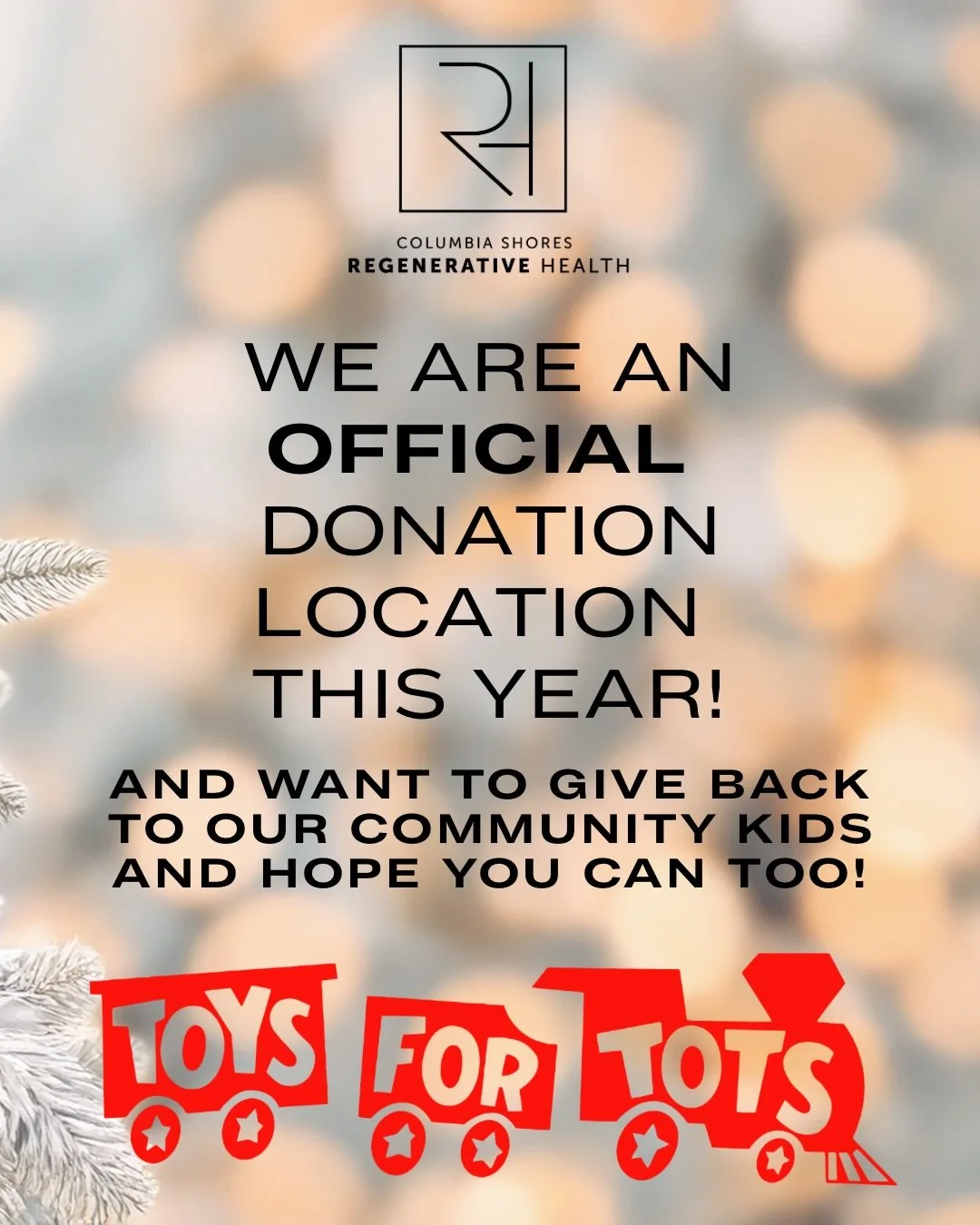 We&rsquo;re officially a Toys for Tots donation location this year, and we&rsquo;re inviting our community to help us give local kids a brighter holiday season.

Bring a new, unwrapped toy to CSRH and we&rsquo;ll match your donation with a toy of our