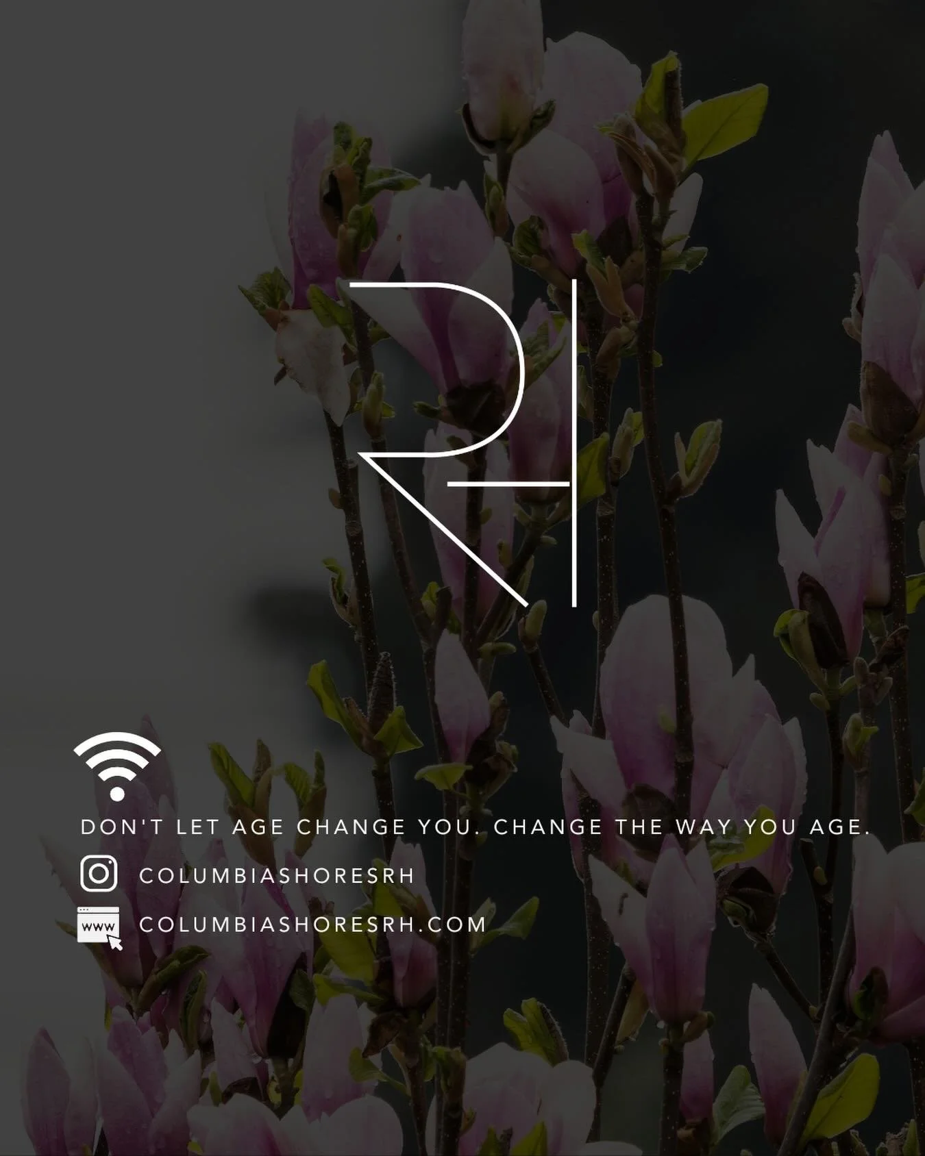 There&rsquo;s a difference between
getting treatments&hellip;
and actually maintaining results.

The clients who look refreshed year-round?

They&rsquo;re not guessing.
They&rsquo;re not starting over every few months.
And they&rsquo;re definitely no