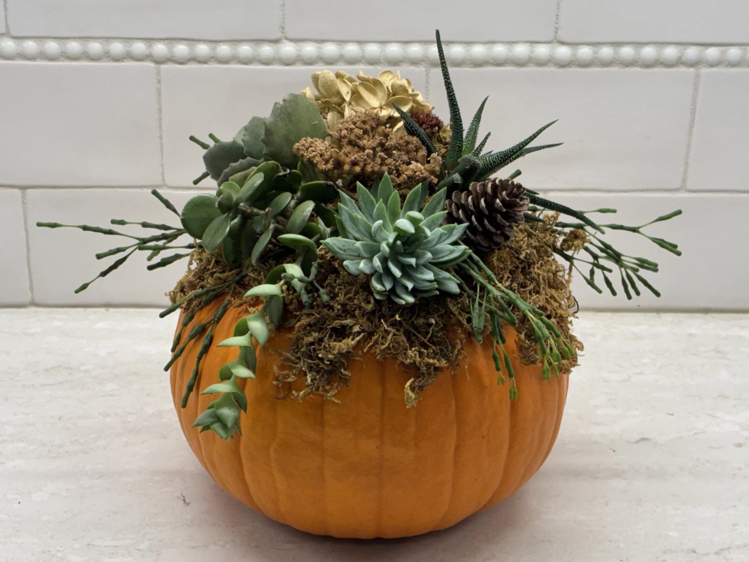 pumpkin and pinot.jpeg