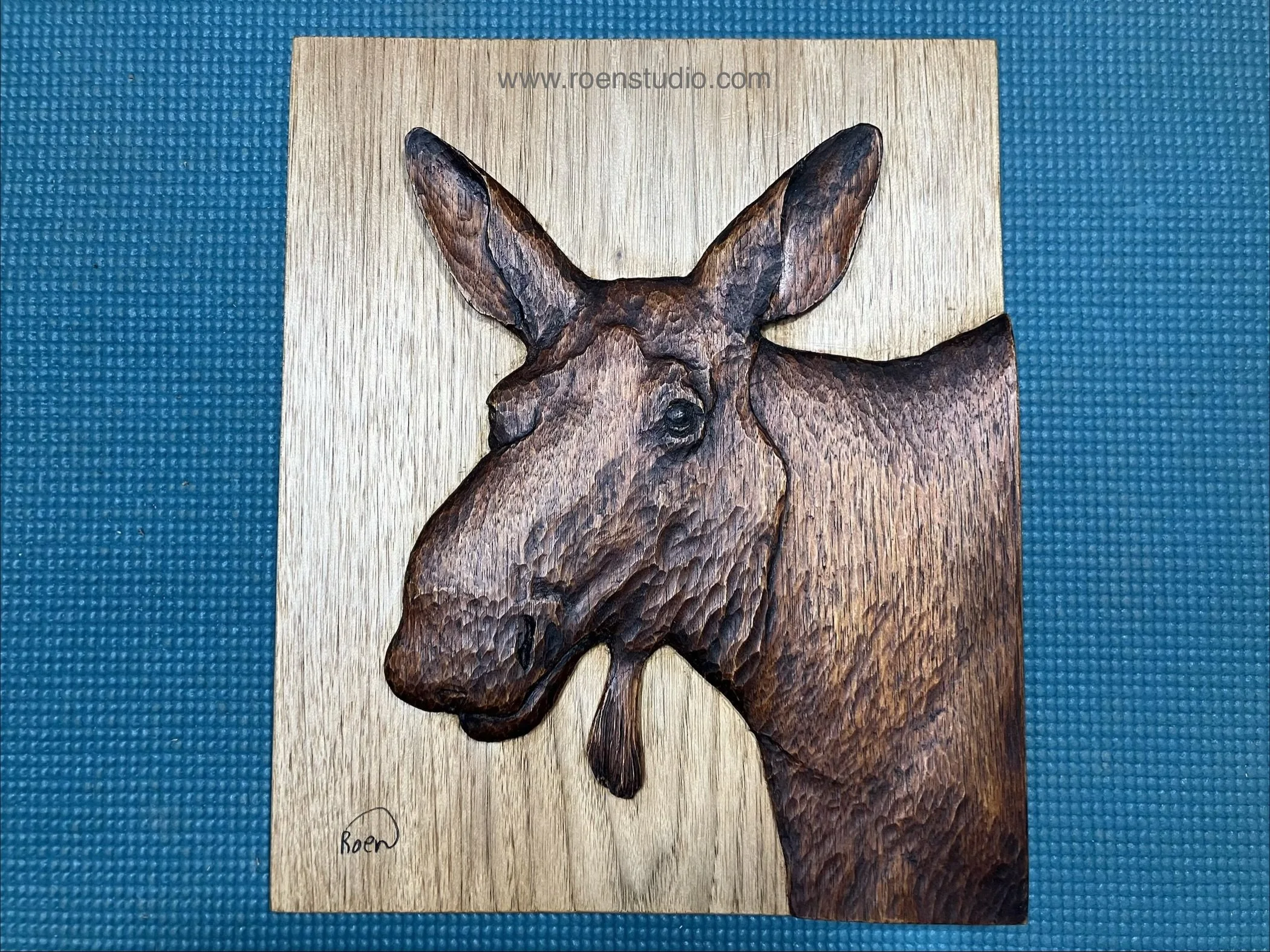 Alaskan moose roen studio