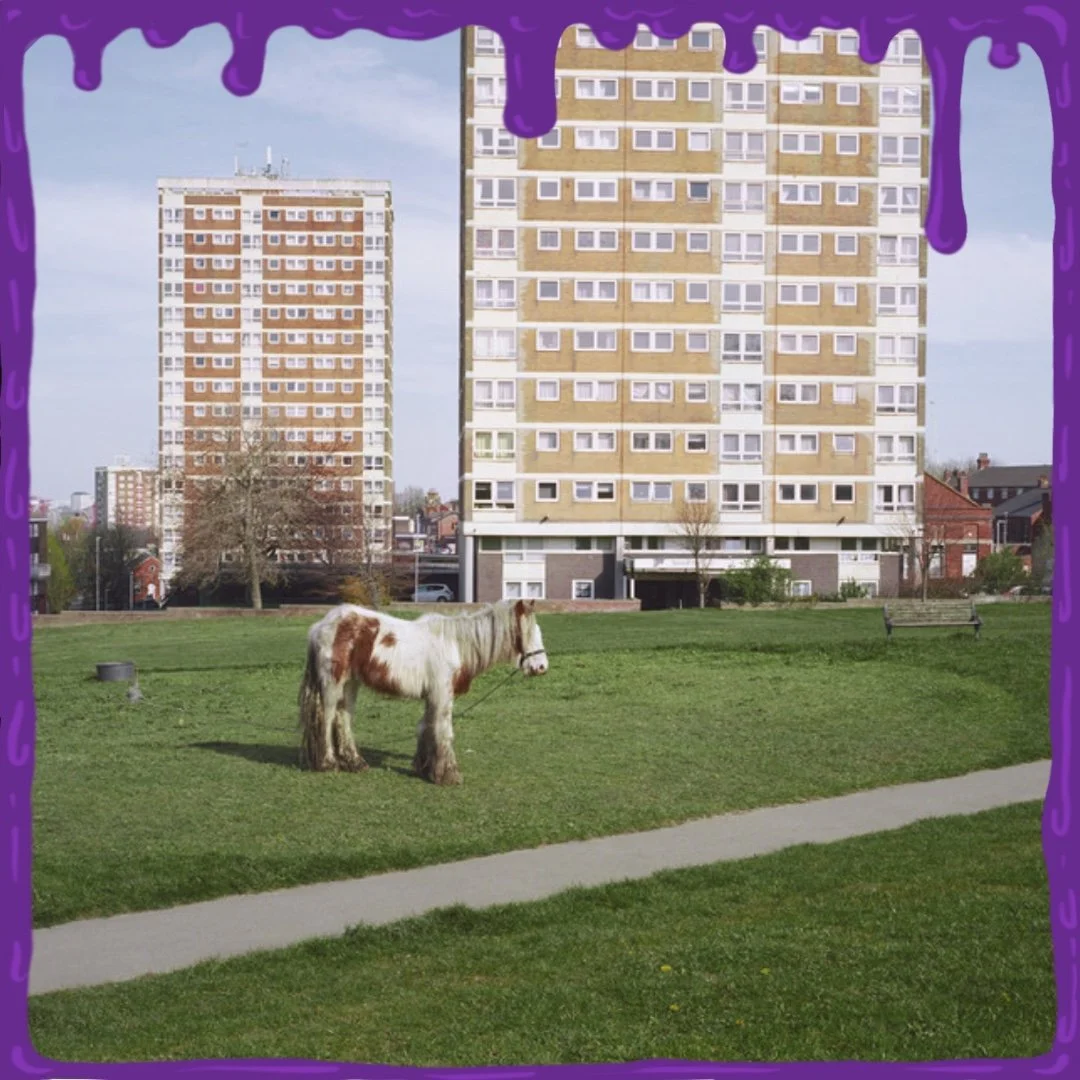 It Goes On — Westside Cowboy