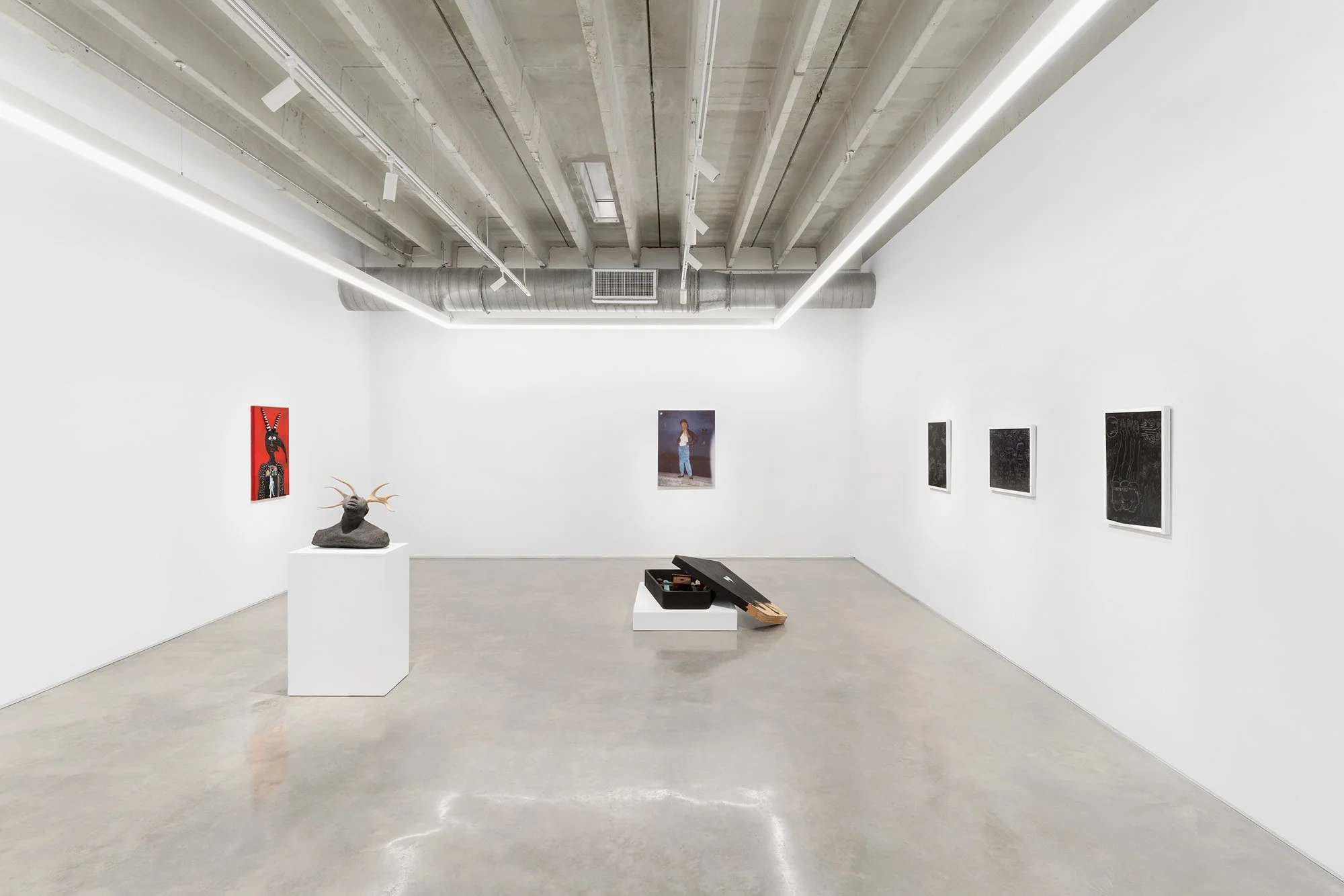 Damon Davis, Lo and Behold Install View 6.jpg