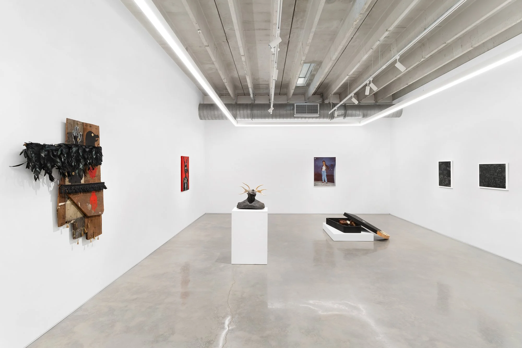 Damon Davis, Lo and Behold Install View 5.jpg