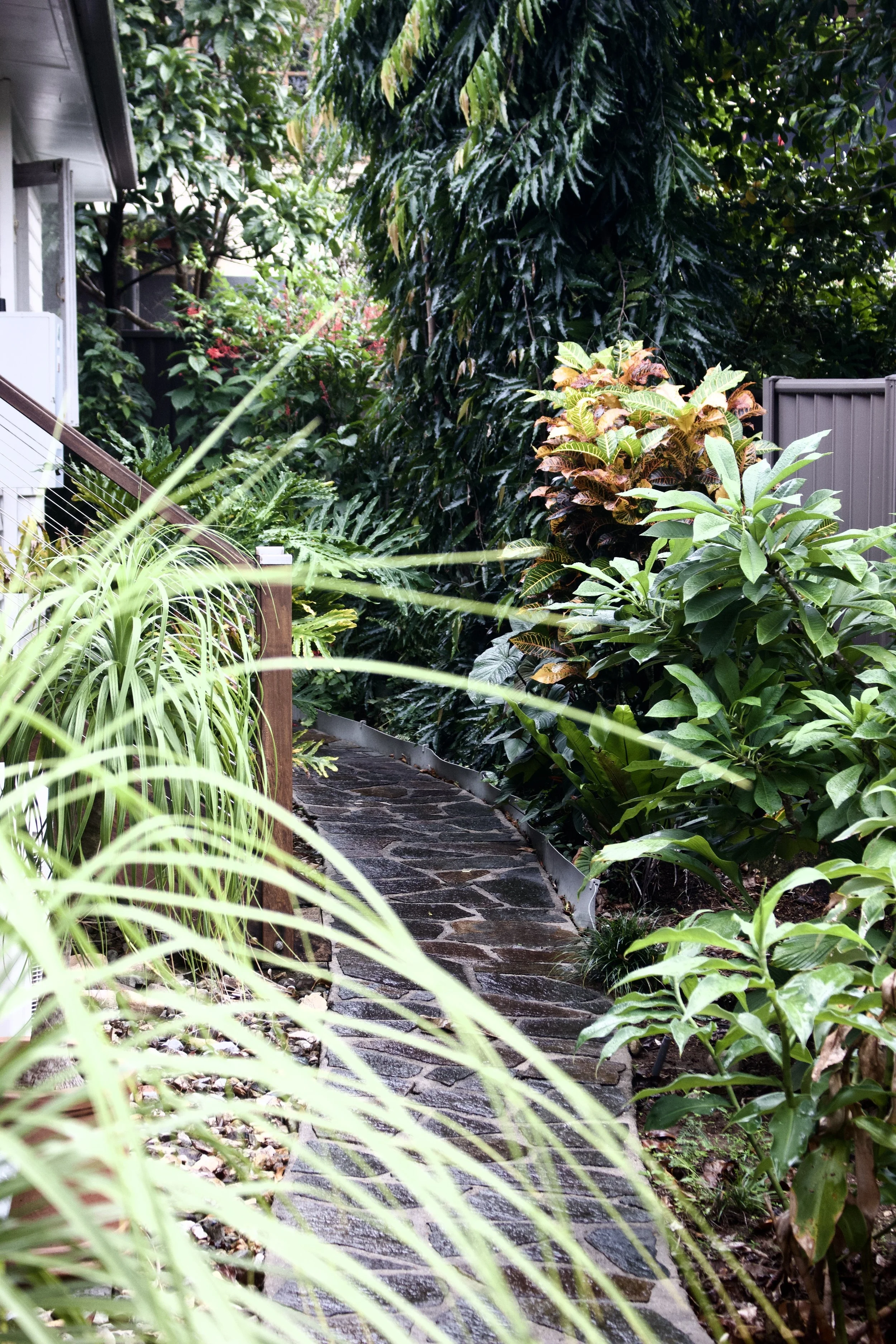 Garden maintained by Local Dad Lawn & Garden in Cairns Beaches
