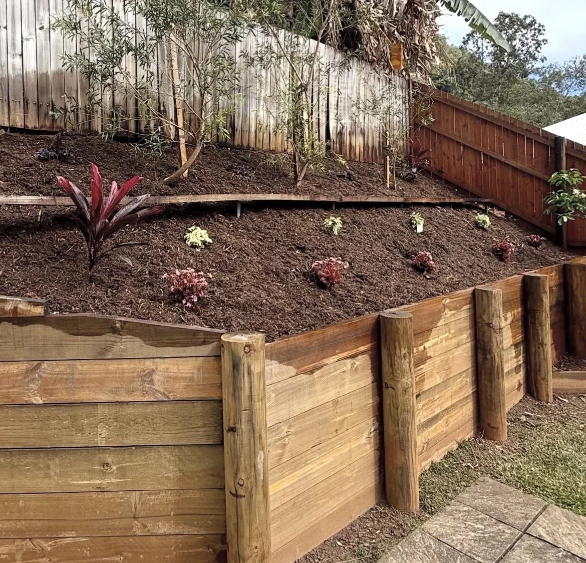 Planting and mulching in Cairns by Local Dad Lawn & Garden