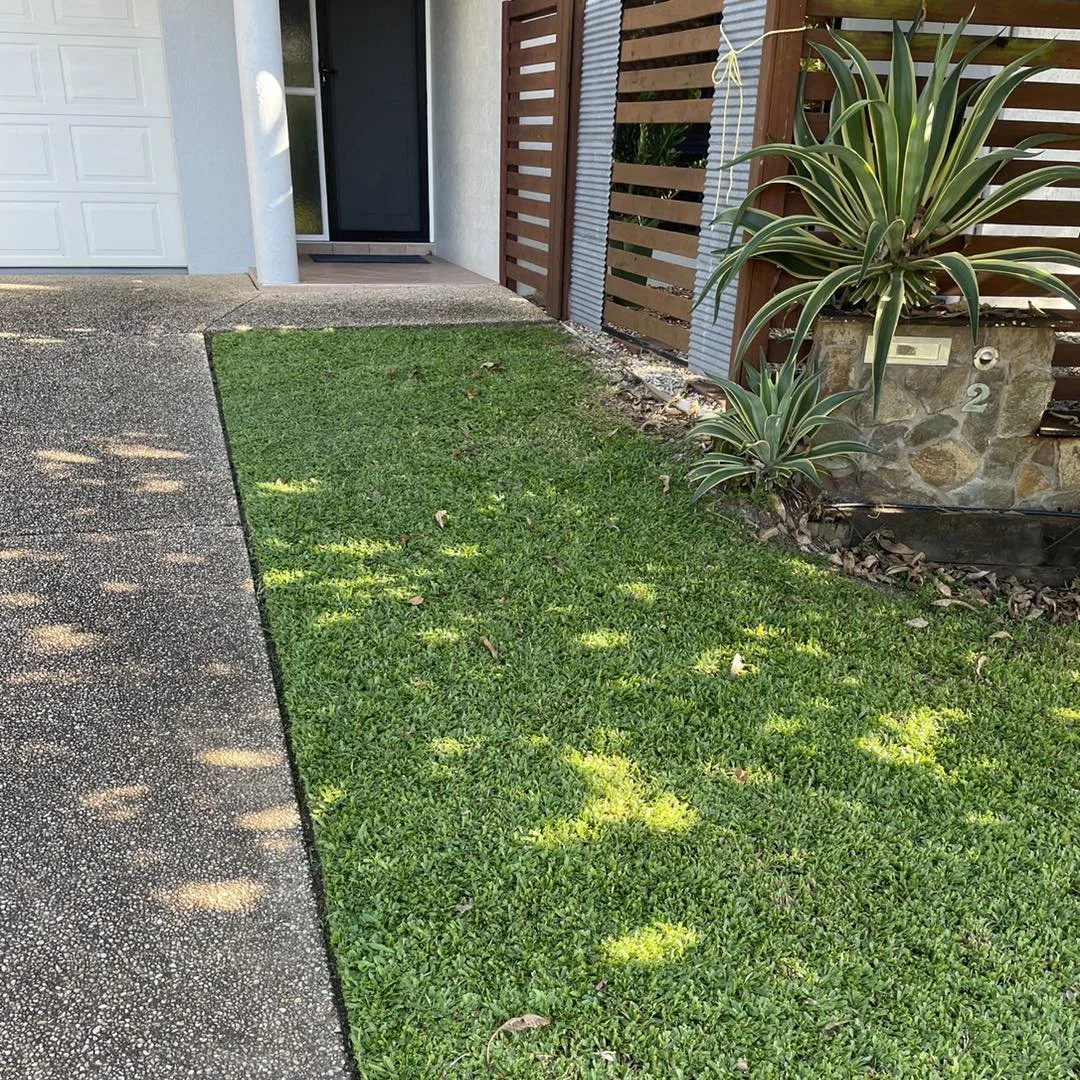 Results after applying Lawn Pride lawn fertiliser to residential lawn by Local Dad Lawn & Garden for a property in Kewarra Beach, Cairns by Local Dad Lawn & Garden