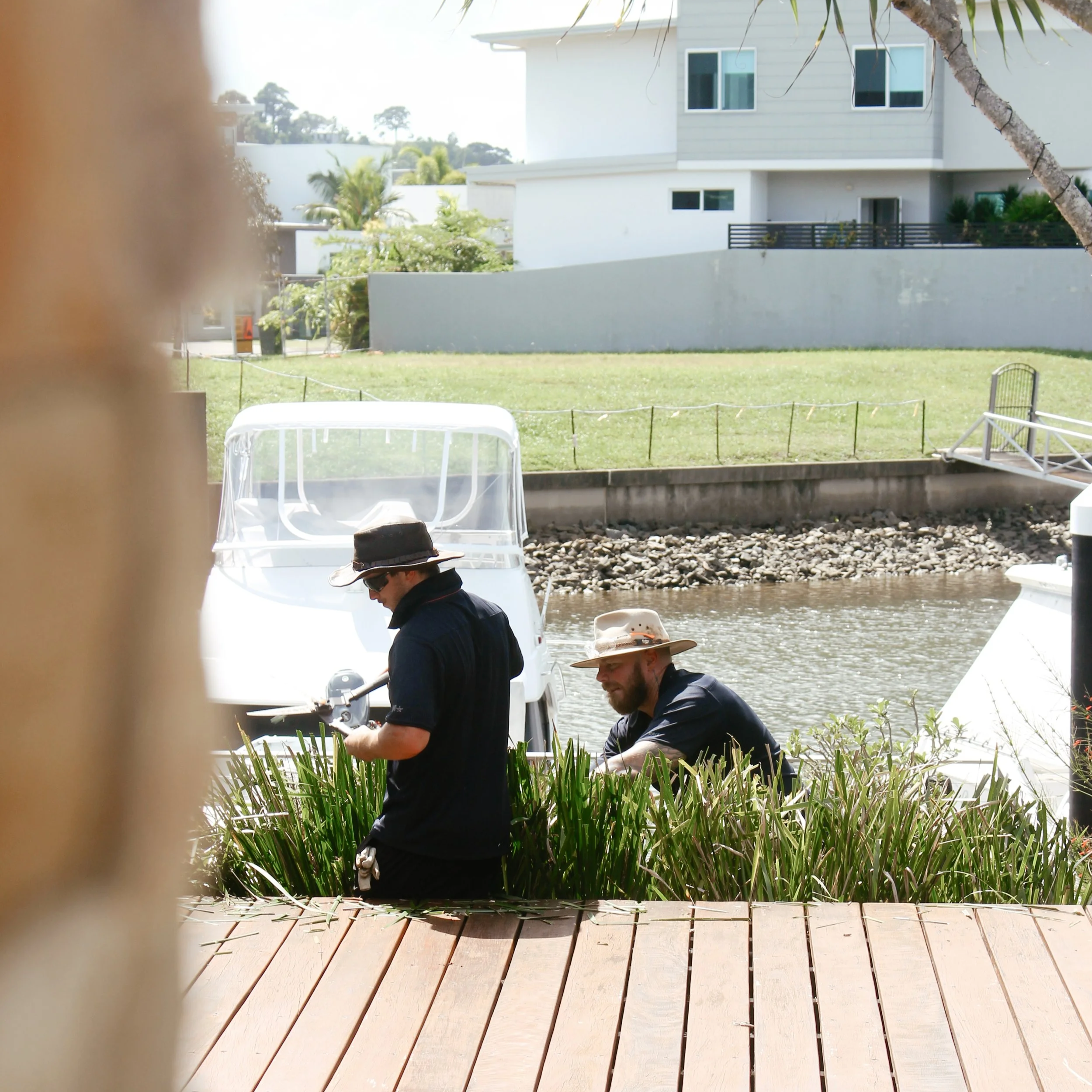 Local Dad Lawn & Garden onsite in Trinity Park, Cairns maintaining a client's garden which includes hedging, pruning, mowing and weed control