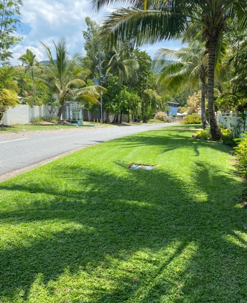 Lawn mowing services in Clifton Beach Cairns by Local Dad Lawn & Garden
