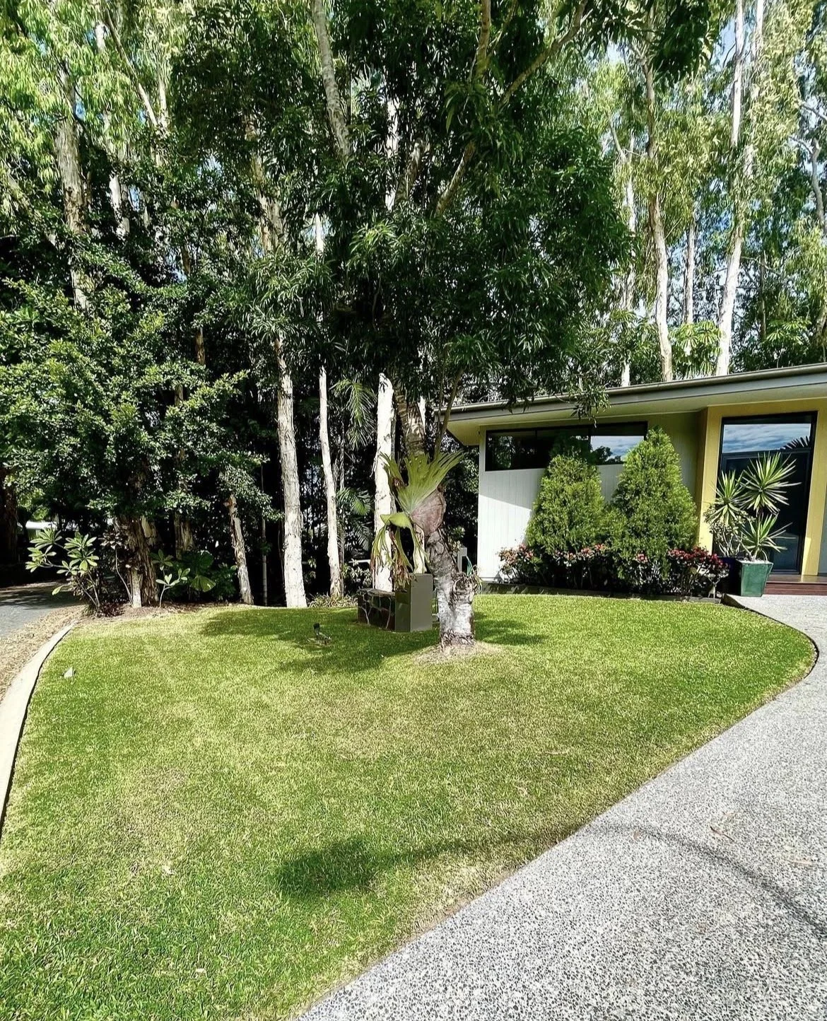 Lawn maintenance by Local Dad Lawn & Garden for a residential property in Clifton Beach, Cairns