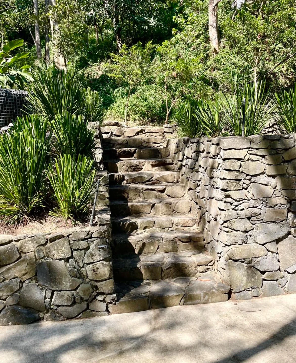 Large gardens on hills maintained by Local Dad Lawn & Garden in Whitfield, Cairns