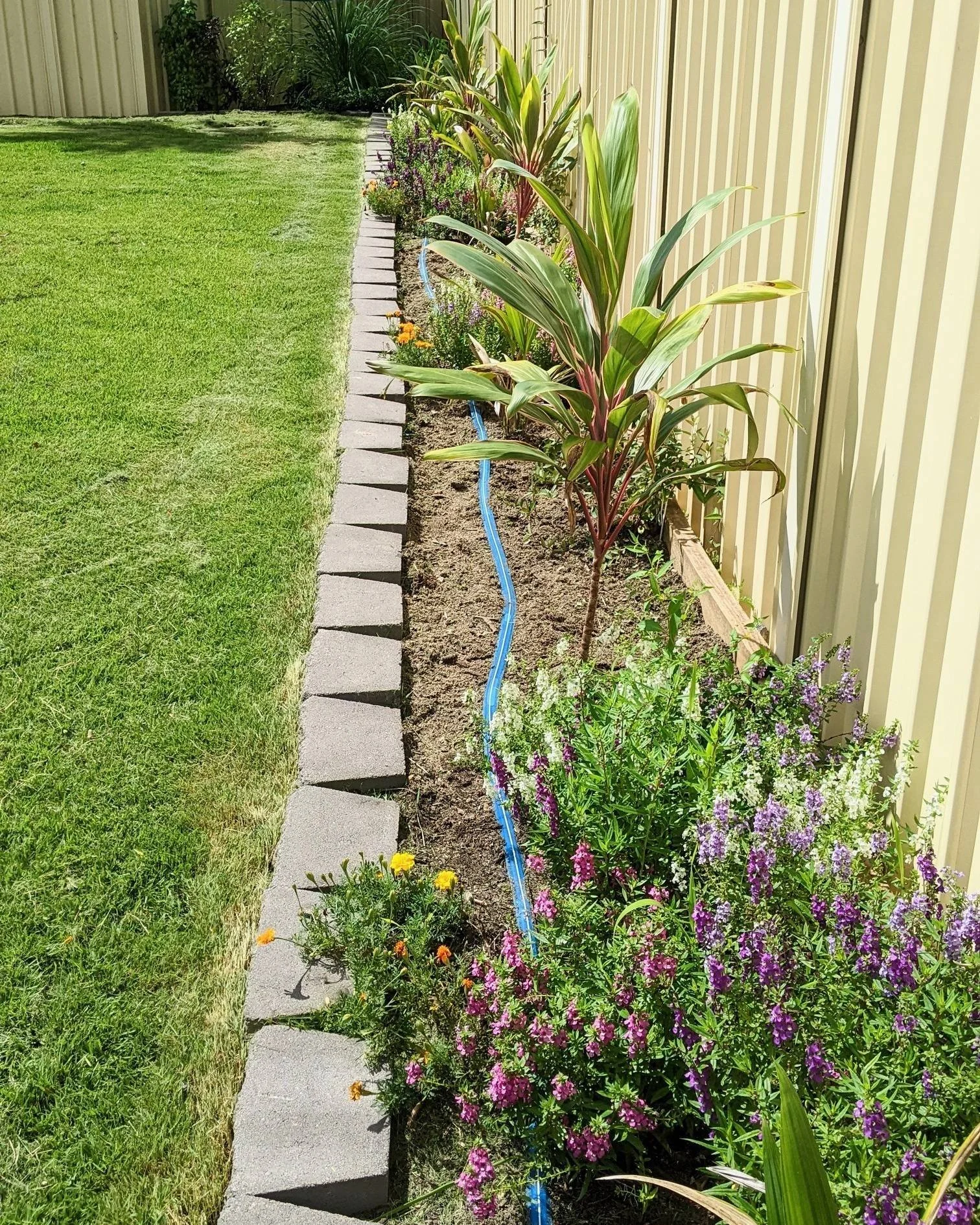 Residential property gardens maintained by Local Dad Lawn & Garden in Smithfield, Cairns